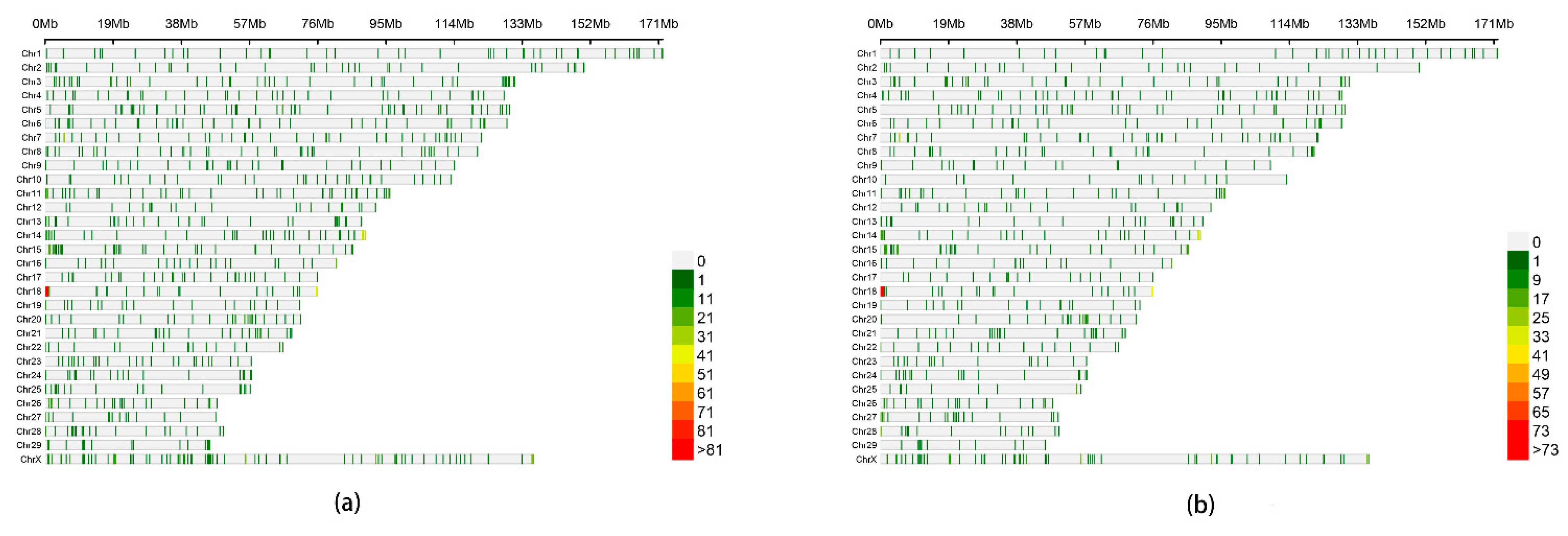 Genes 13 02405 g003 Genes 13 02405 g003
