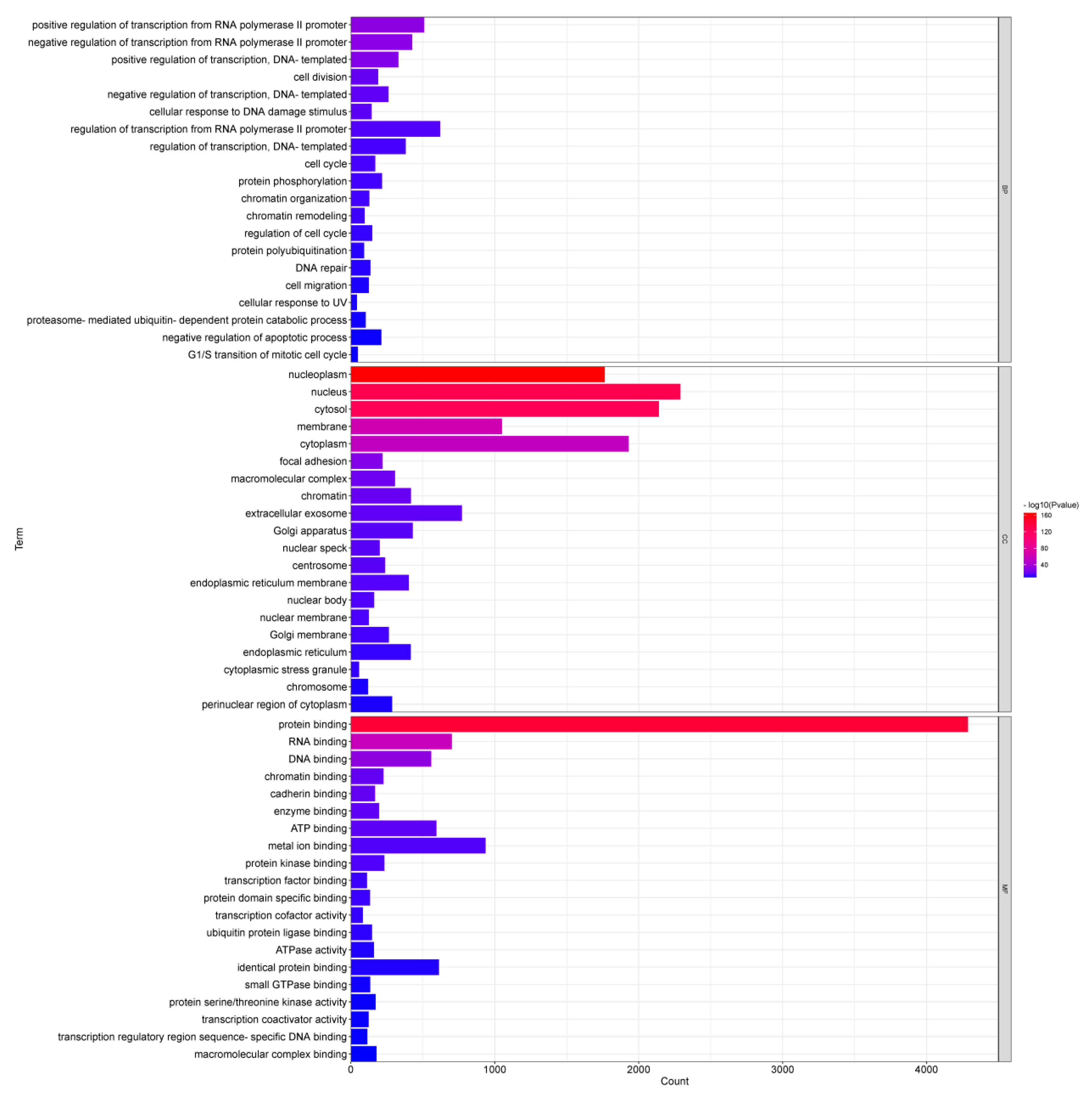 Genes 13 02406 g005 Genes 13 02406 g005