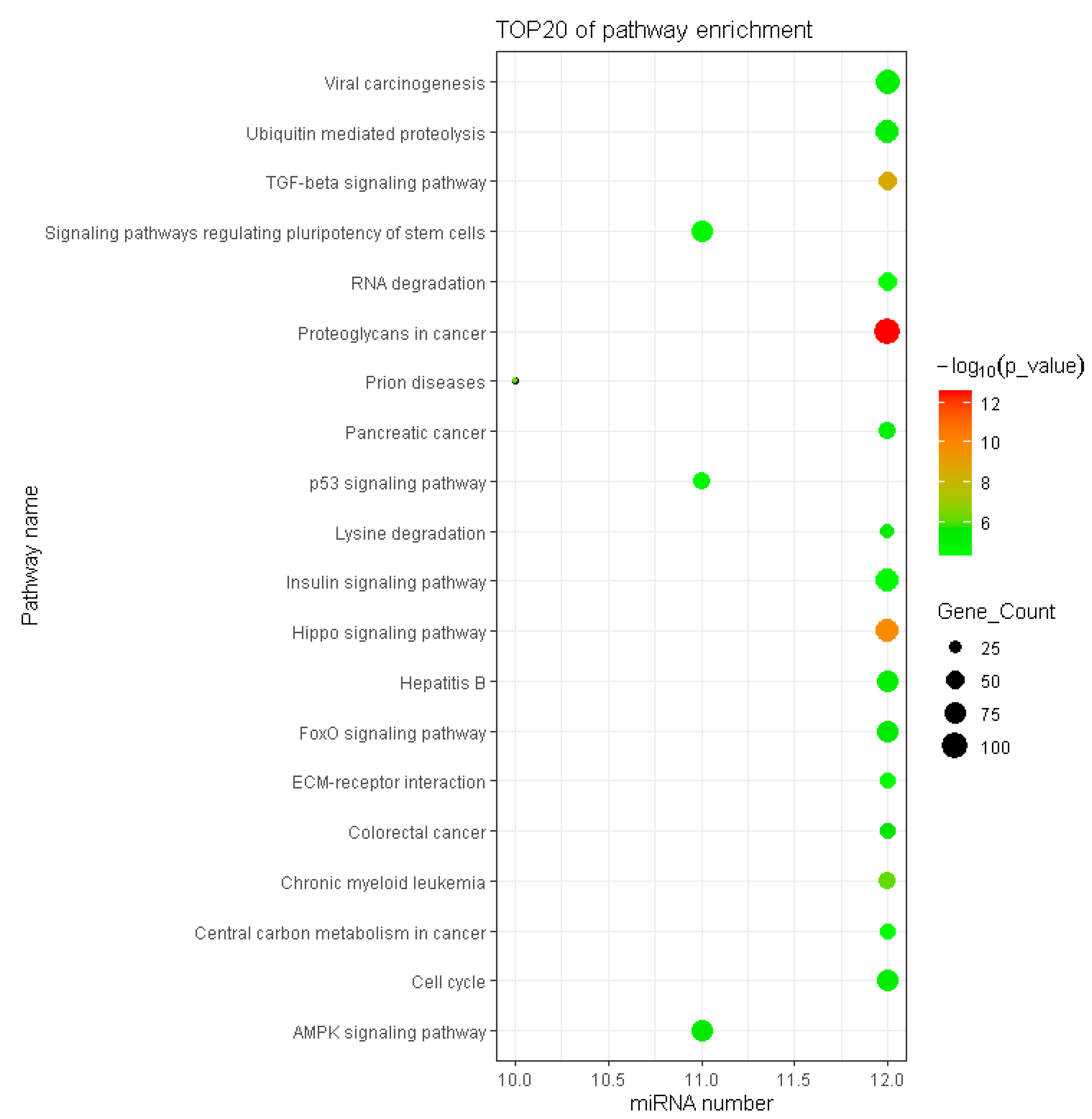Genes 13 02406 g006 Genes 13 02406 g006