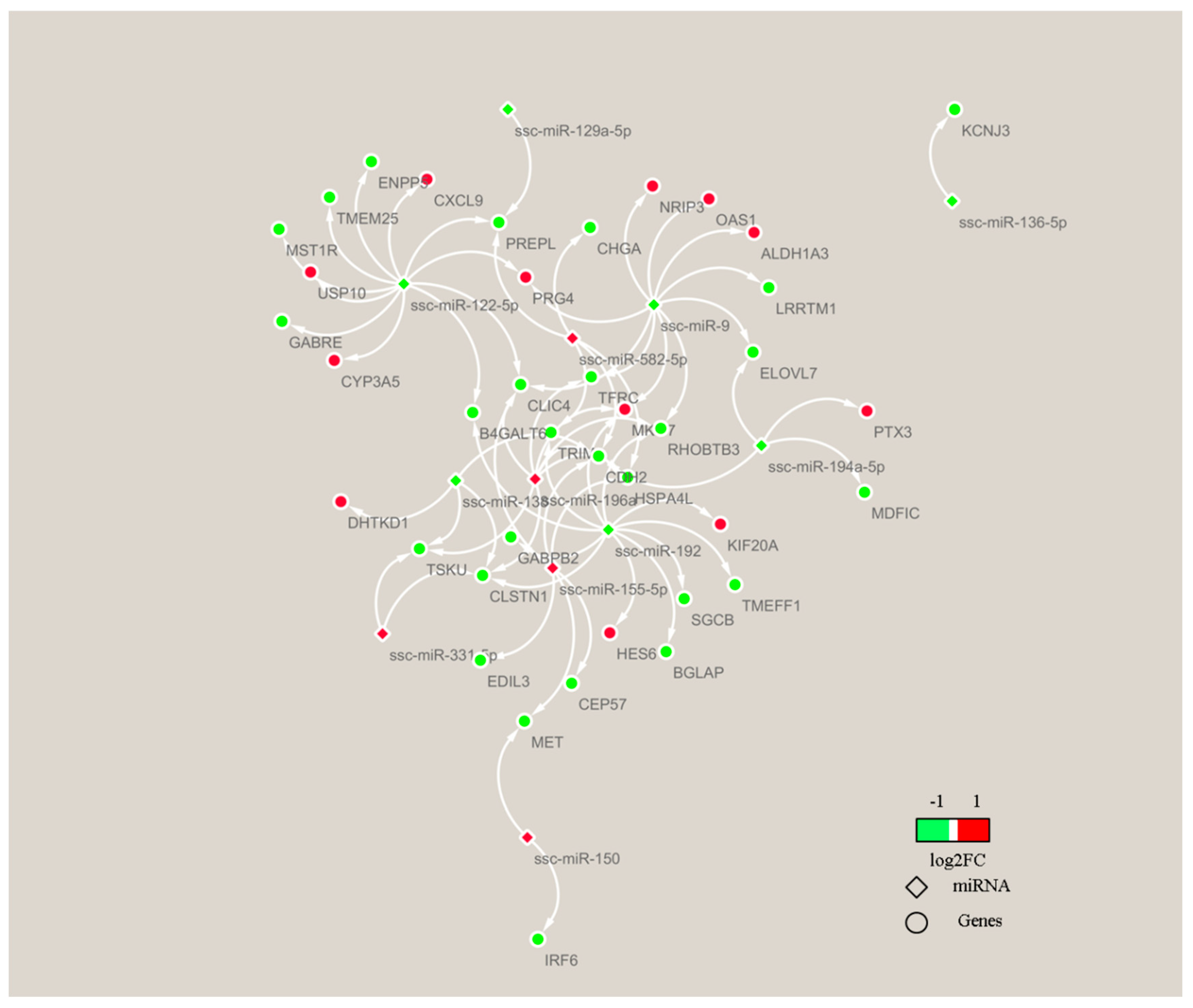 Genes 13 02406 g008 Genes 13 02406 g008