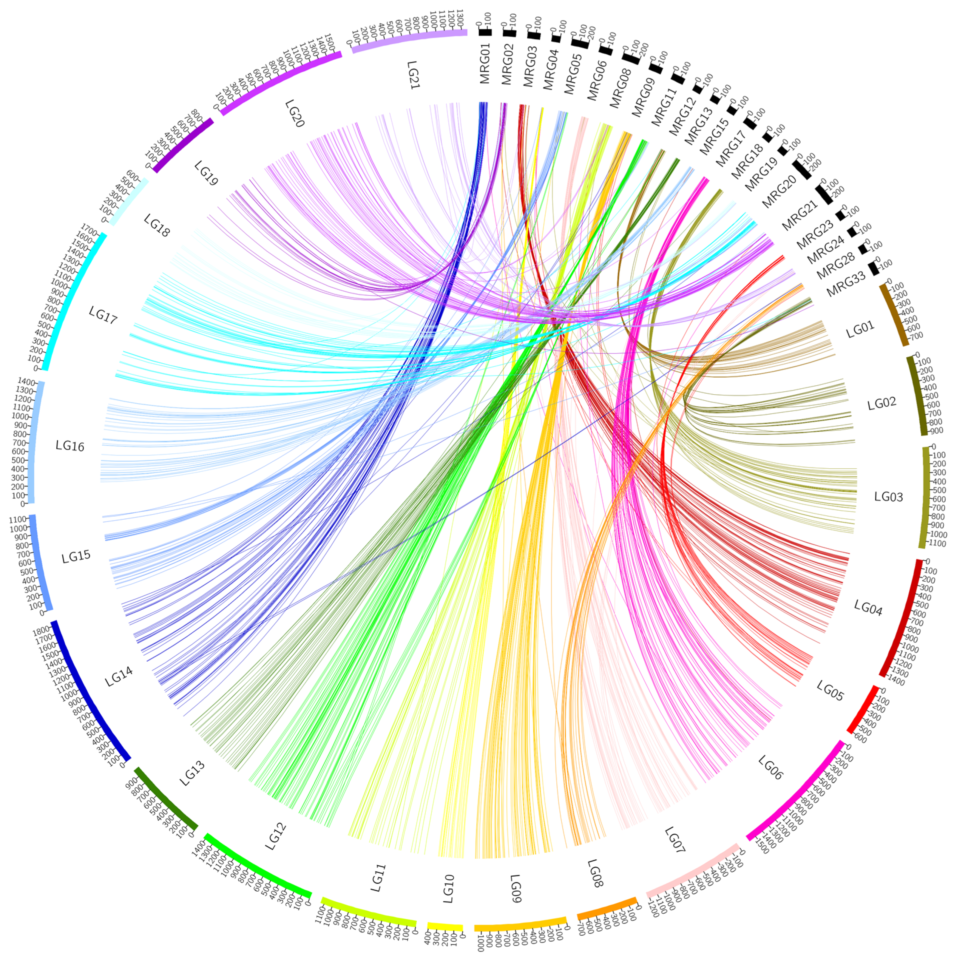 Genes 13 02409 g001 Genes 13 02409 g001