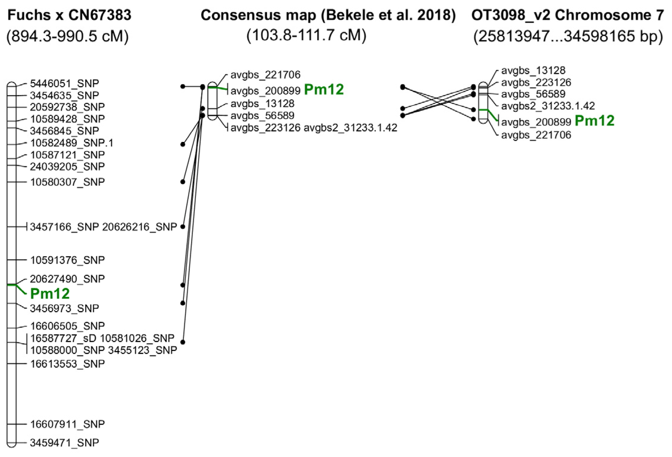 Genes 13 02409 g002 Genes 13 02409 g002