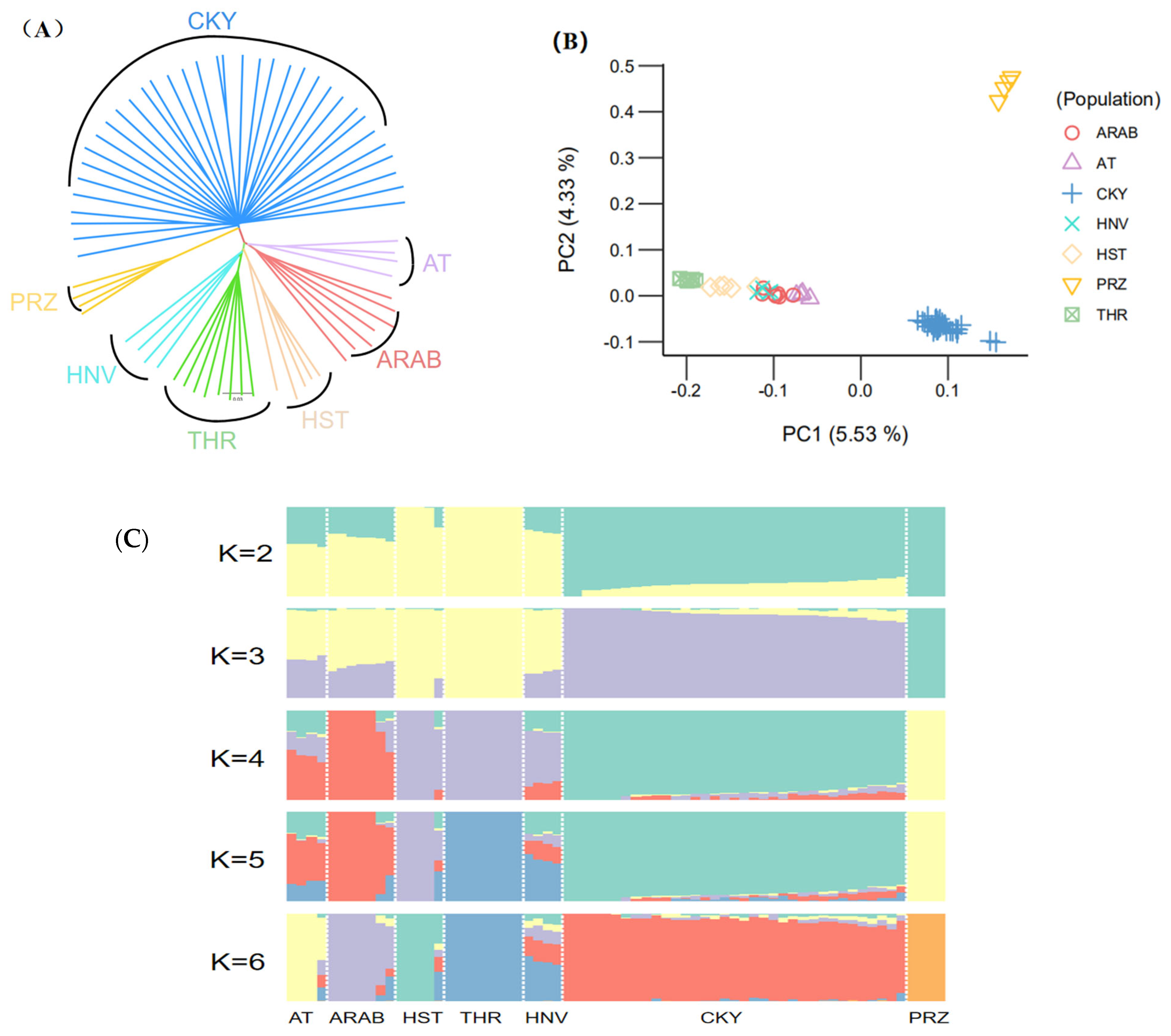 Genes 13 02411 g001 Genes 13 02411 g001