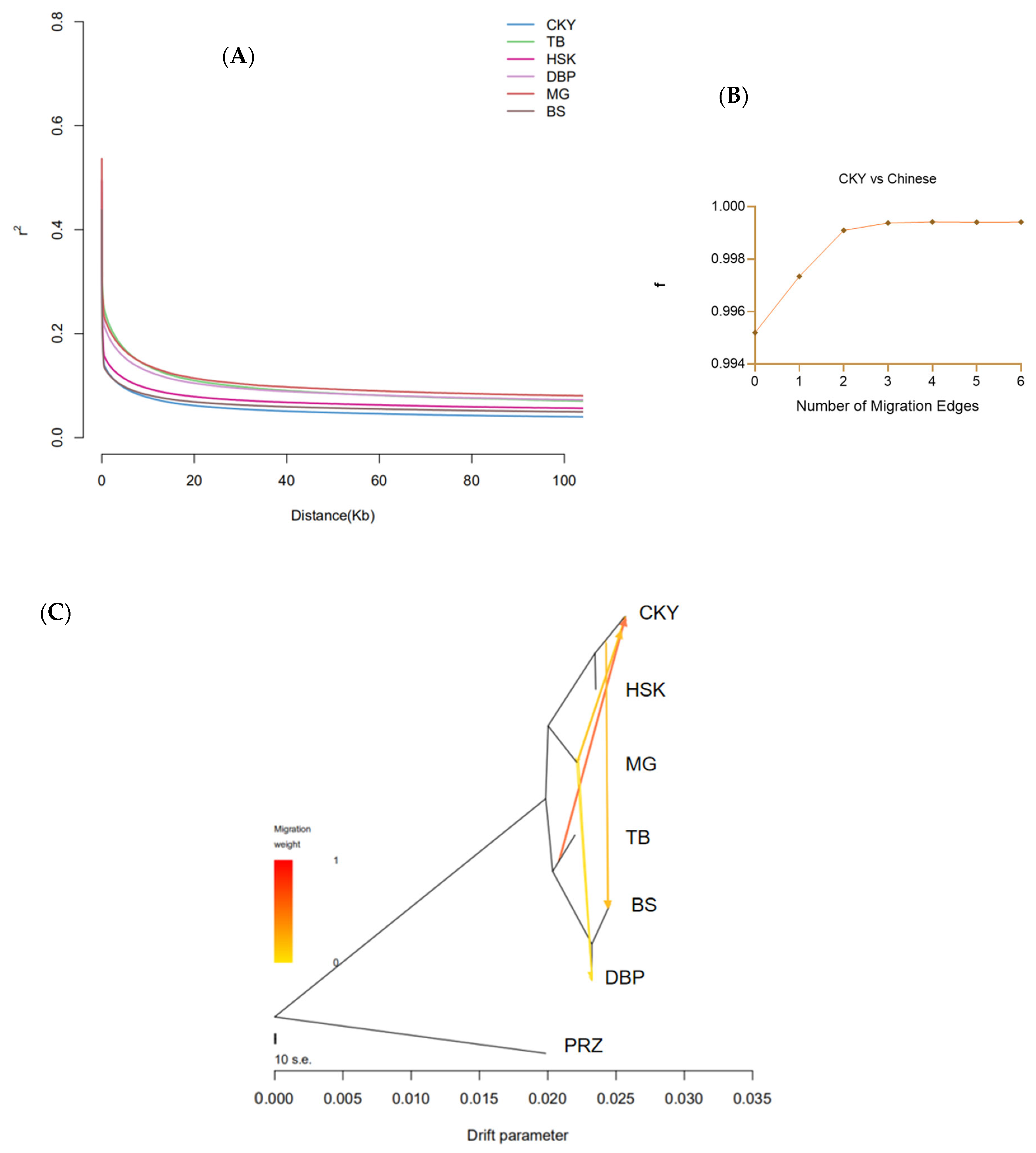 Genes 13 02411 g003 Genes 13 02411 g003