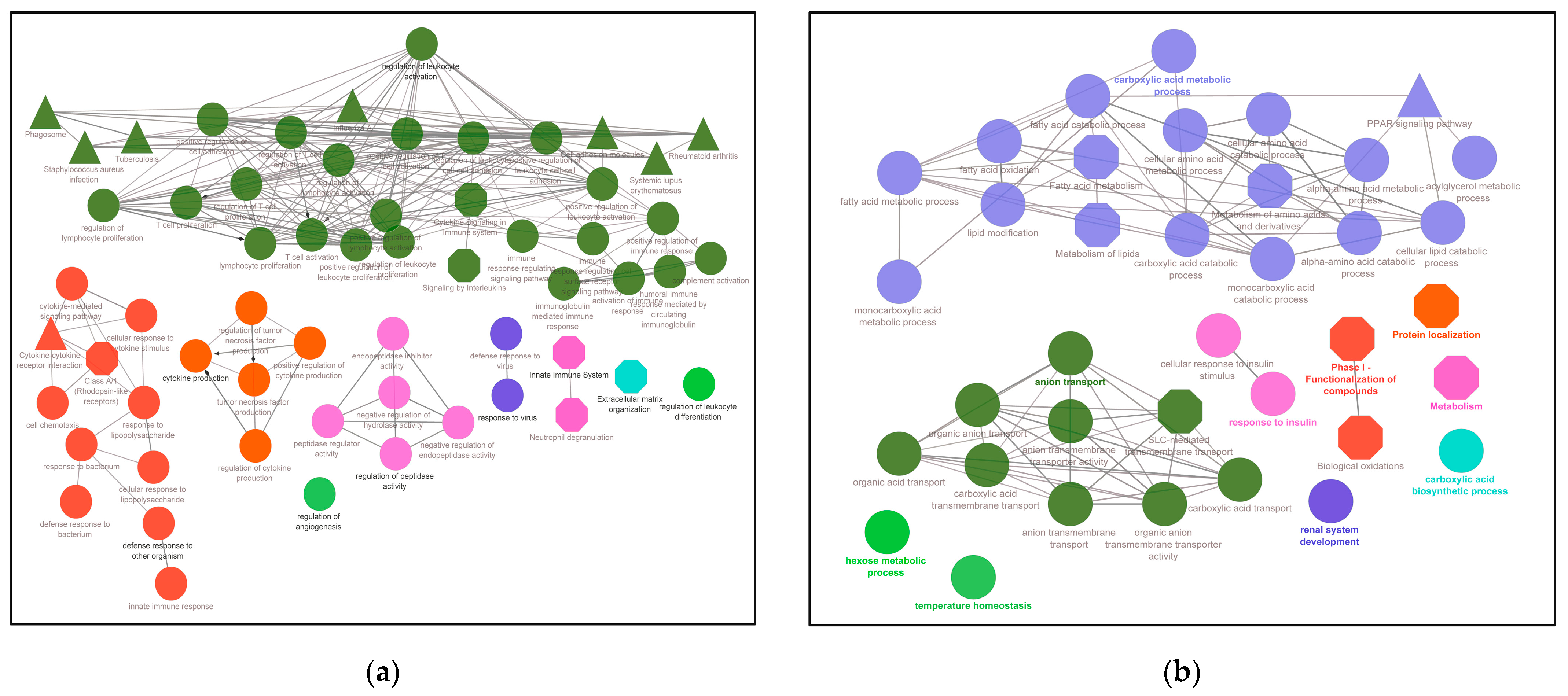 Genes 13 02412 g006a Genes 13 02412 g006a