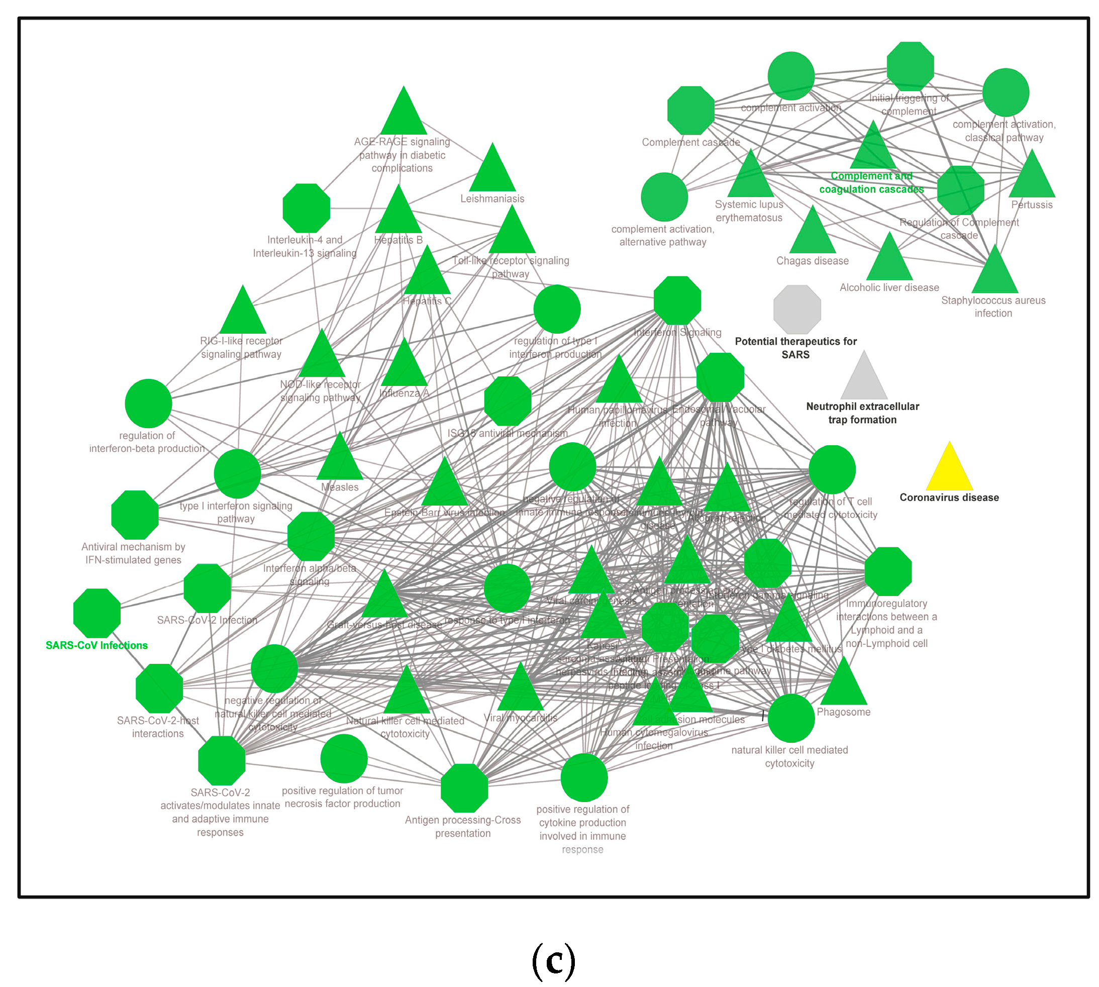 Genes 13 02412 g006b Genes 13 02412 g006b
