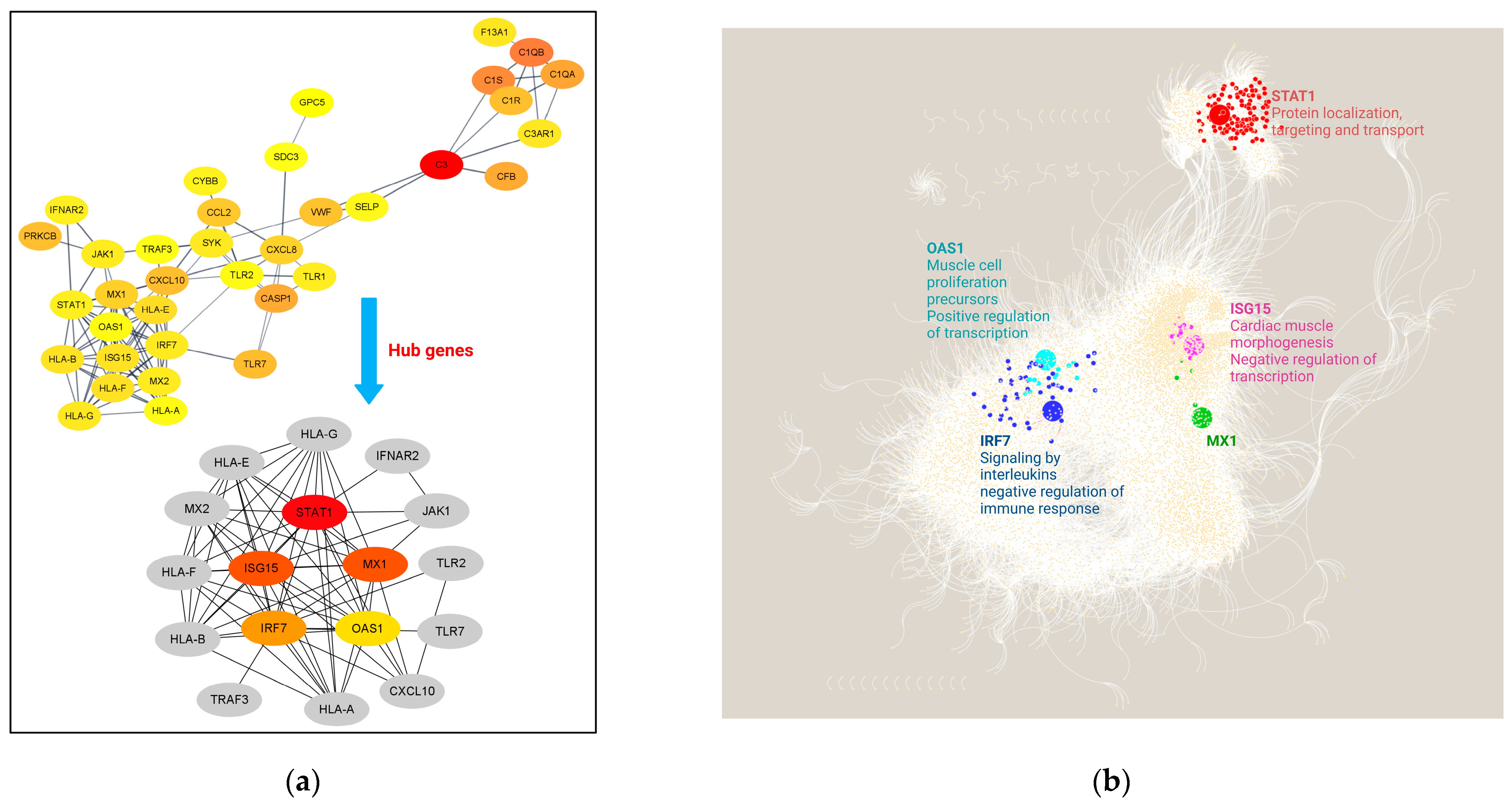 Genes 13 02412 g008 Genes 13 02412 g008