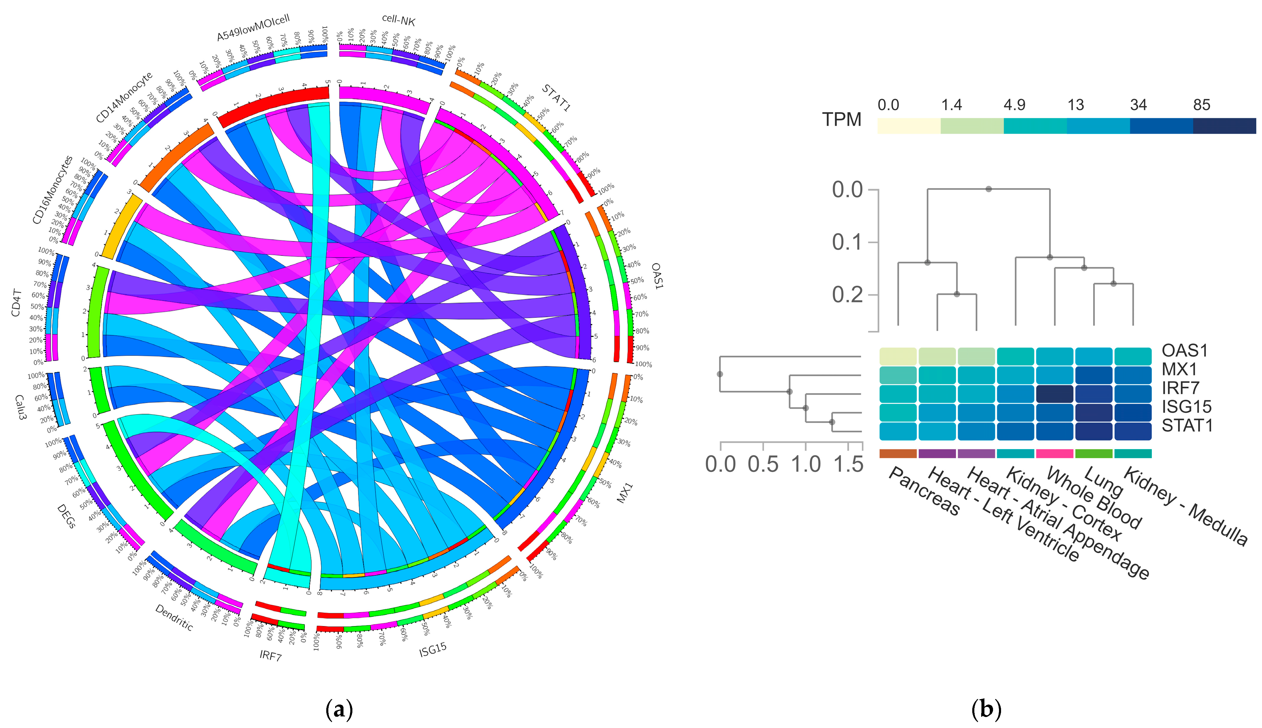 Genes 13 02412 g009a Genes 13 02412 g009a