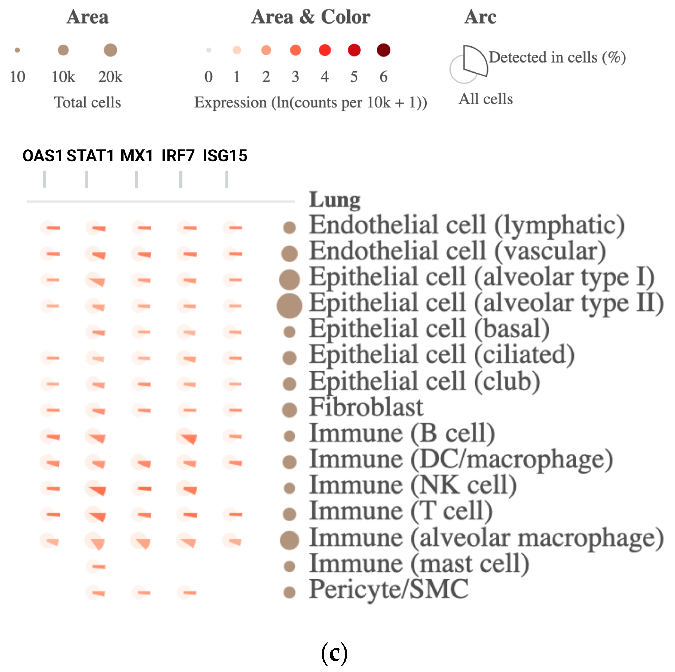Genes 13 02412 g009b Genes 13 02412 g009b