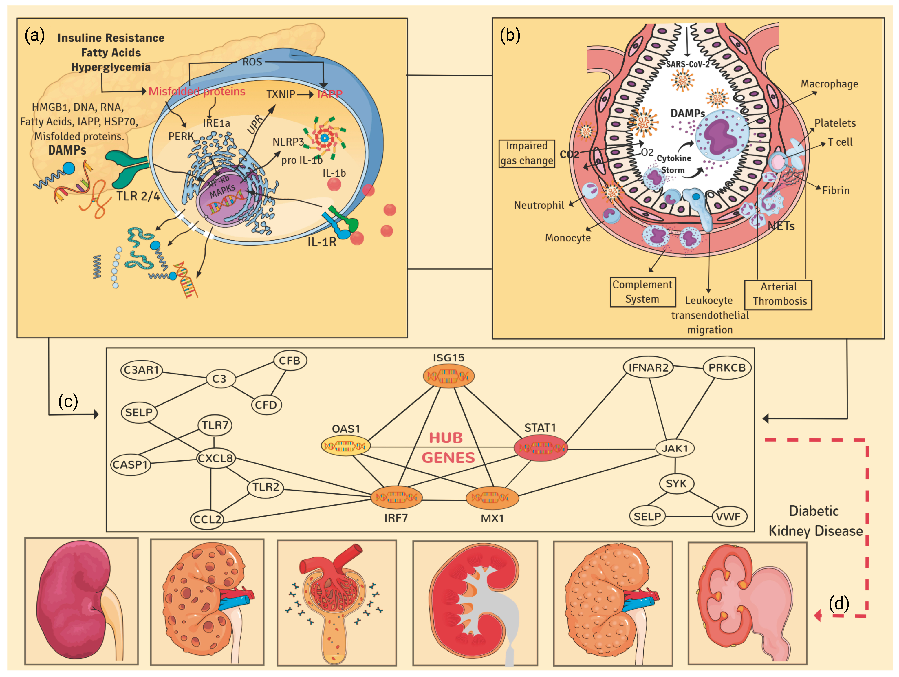 Genes 13 02412 g010 Genes 13 02412 g010
