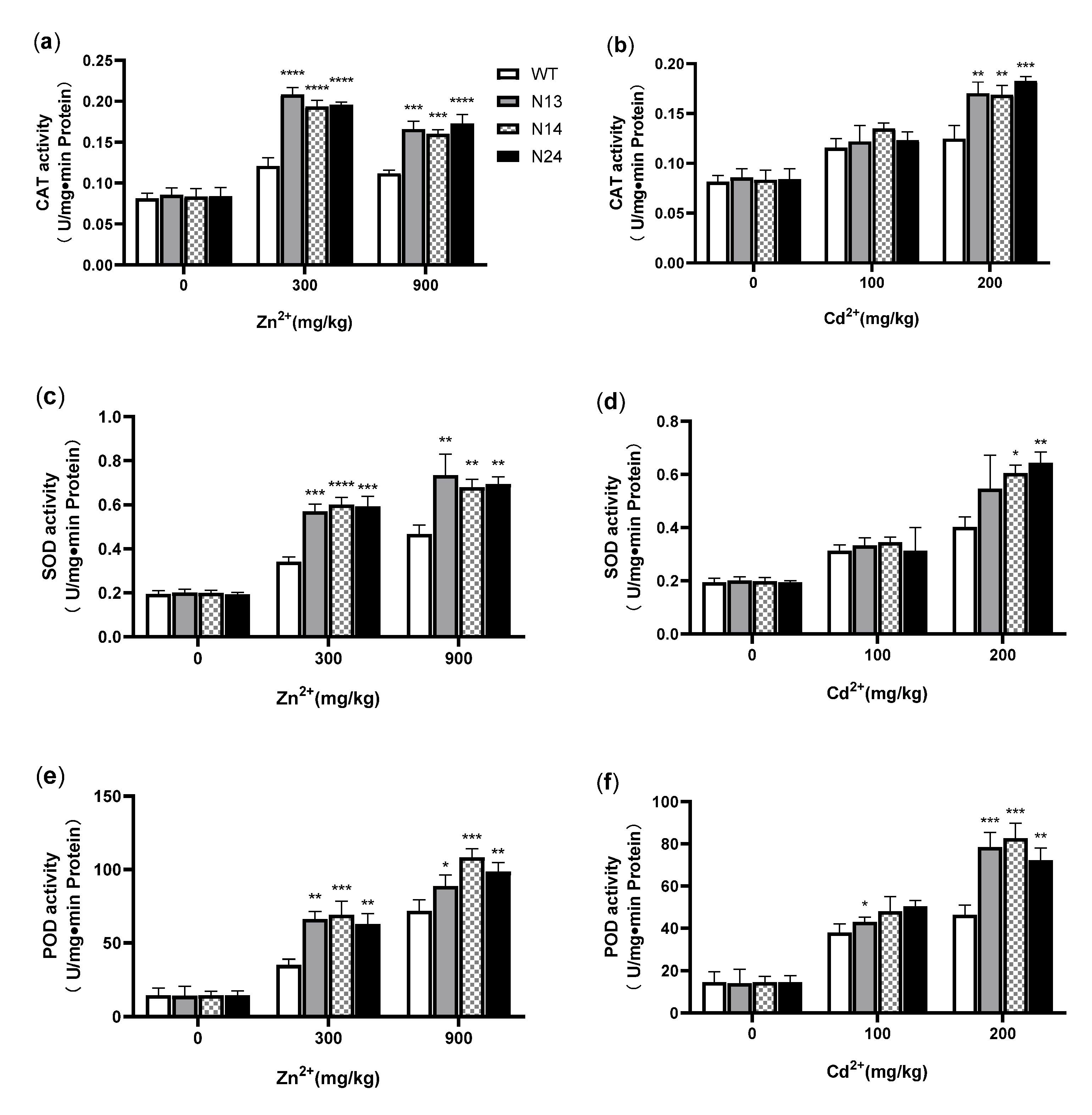 Genes 13 02413 g006 Genes 13 02413 g006