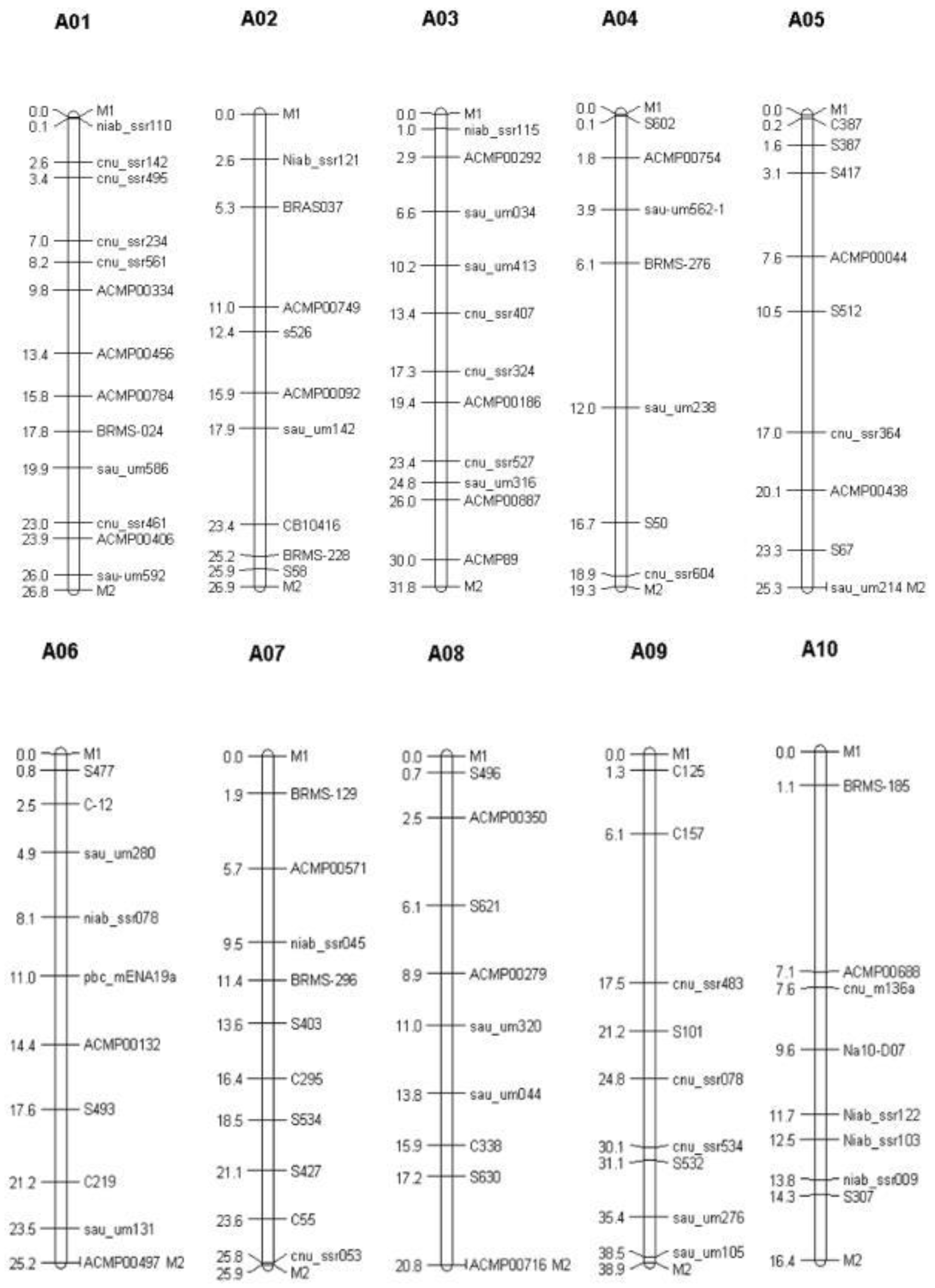 Genes 13 02414 g004 Genes 13 02414 g004