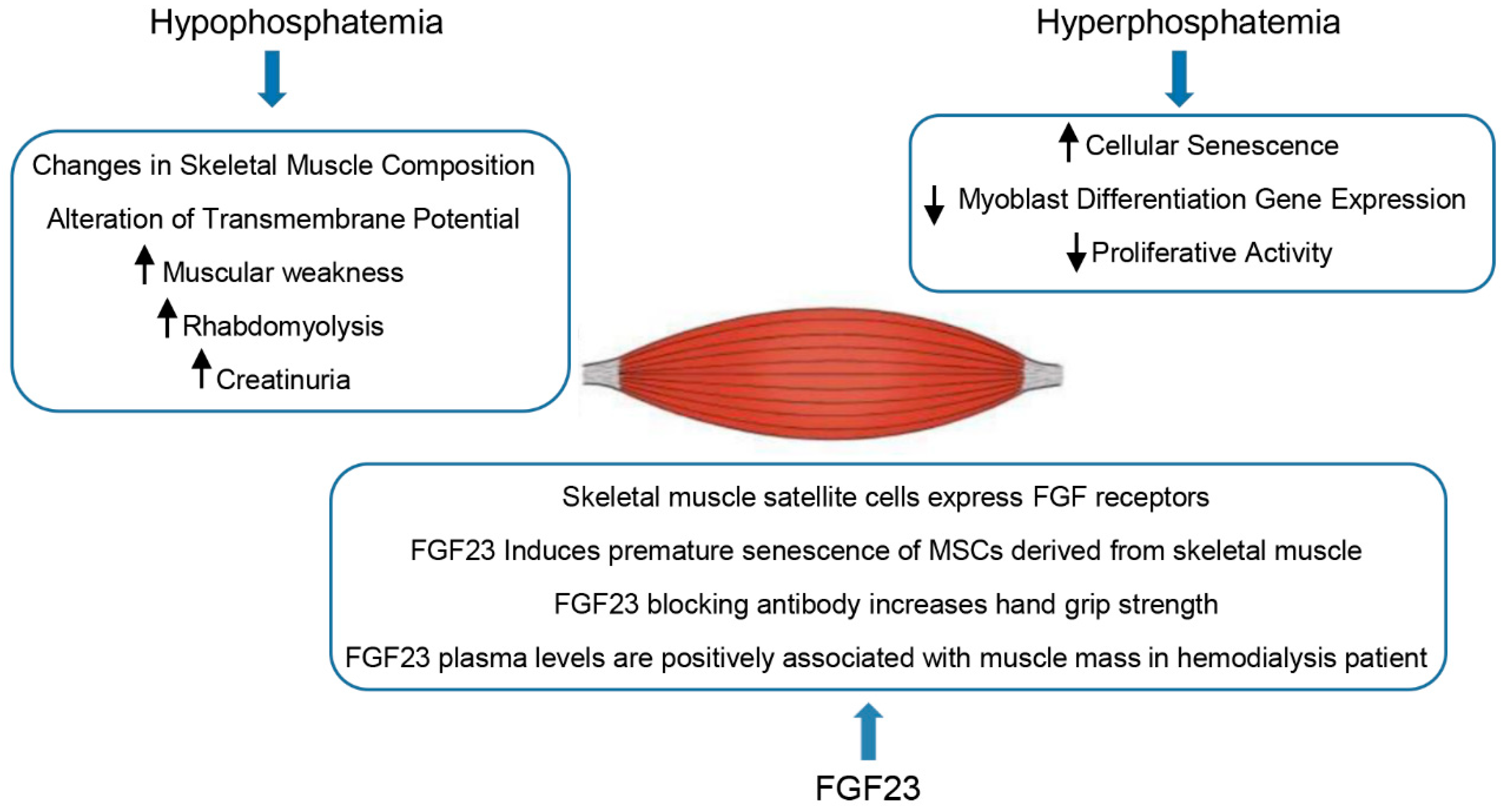 Genes 13 02415 g002 Genes 13 02415 g002