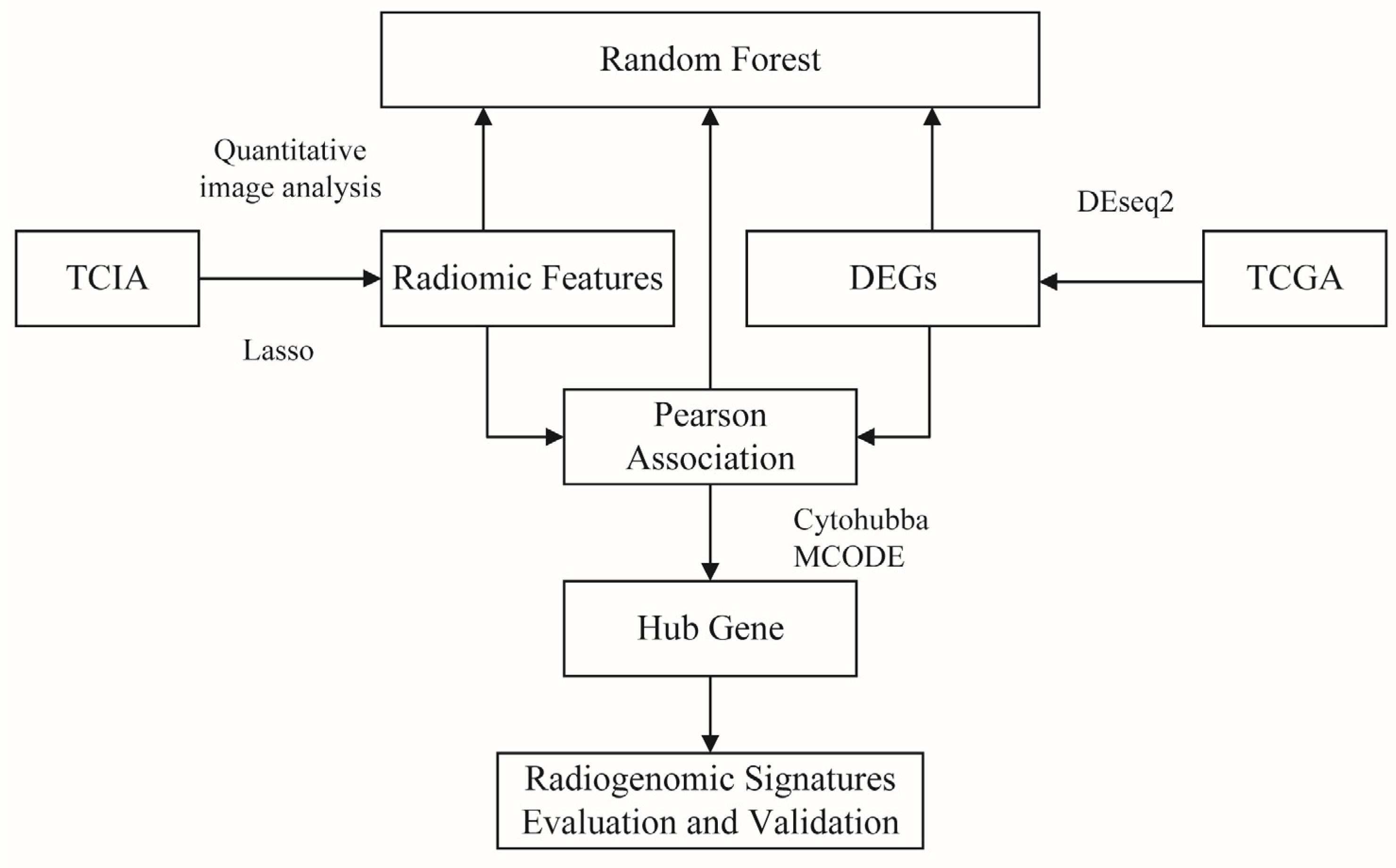 Genes 13 02416 g001 Genes 13 02416 g001