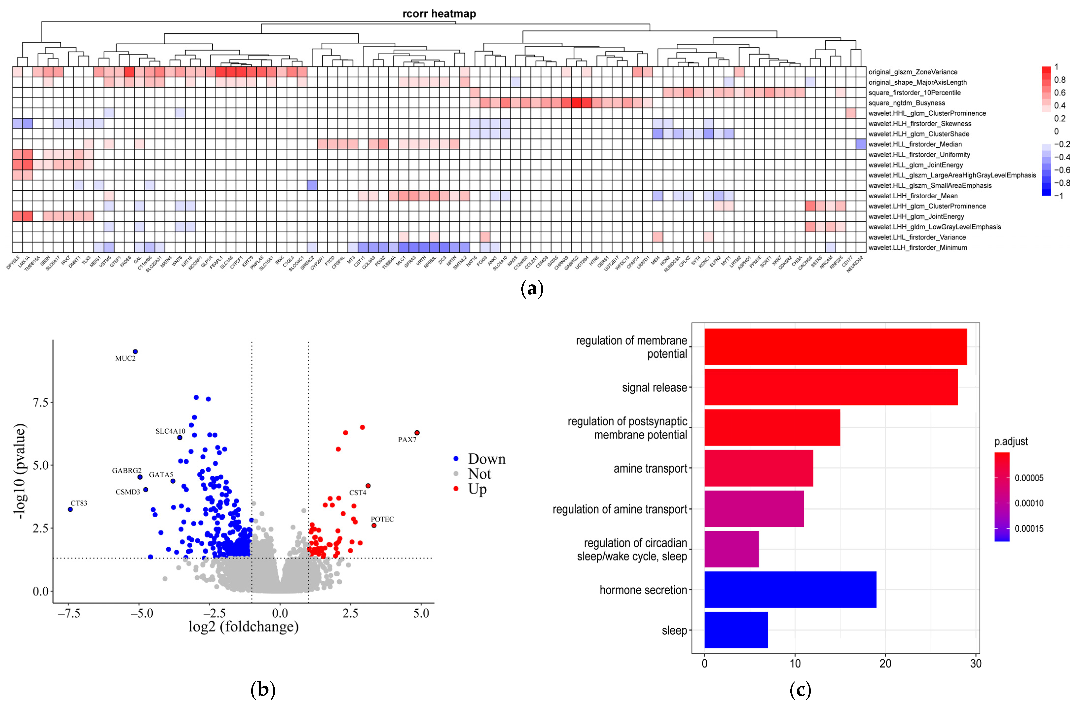 Genes 13 02416 g003 Genes 13 02416 g003