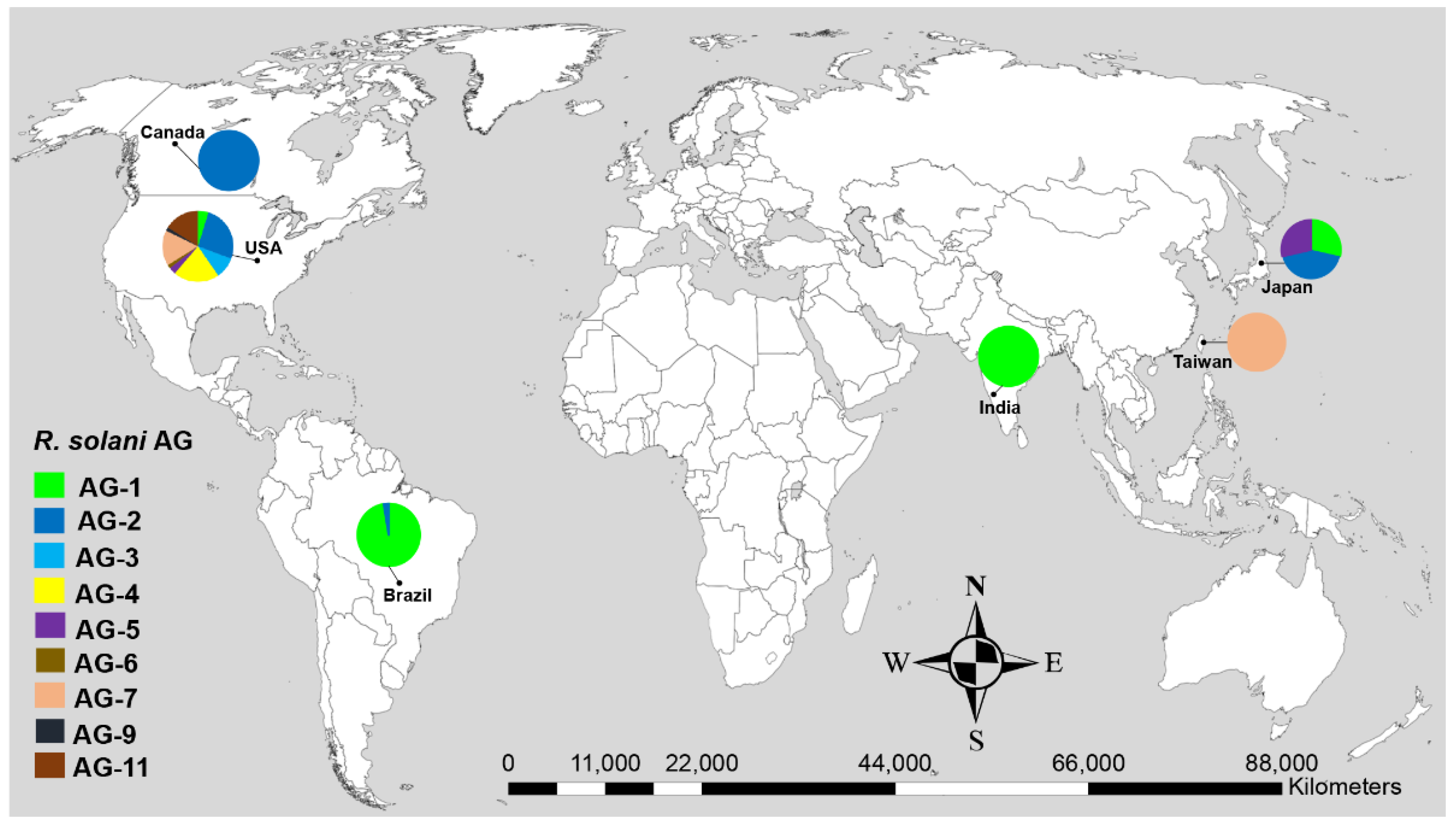 Genes 13 02417 g001 Genes 13 02417 g001