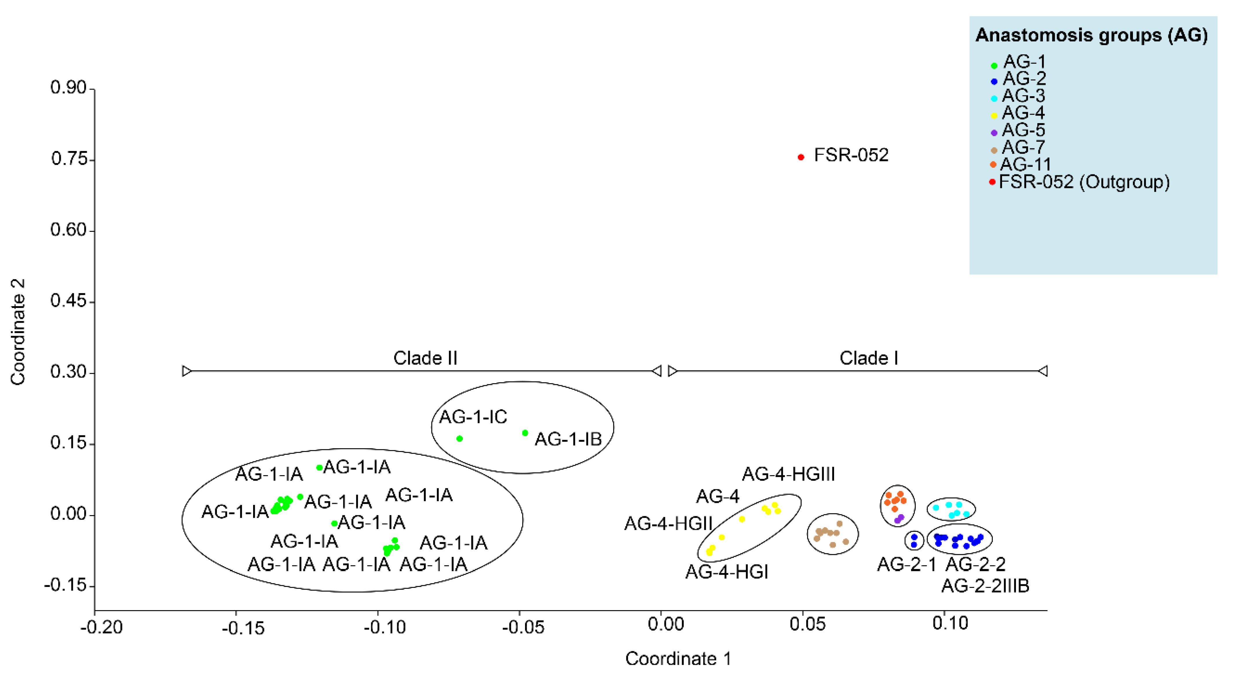 Genes 13 02417 g005 Genes 13 02417 g005