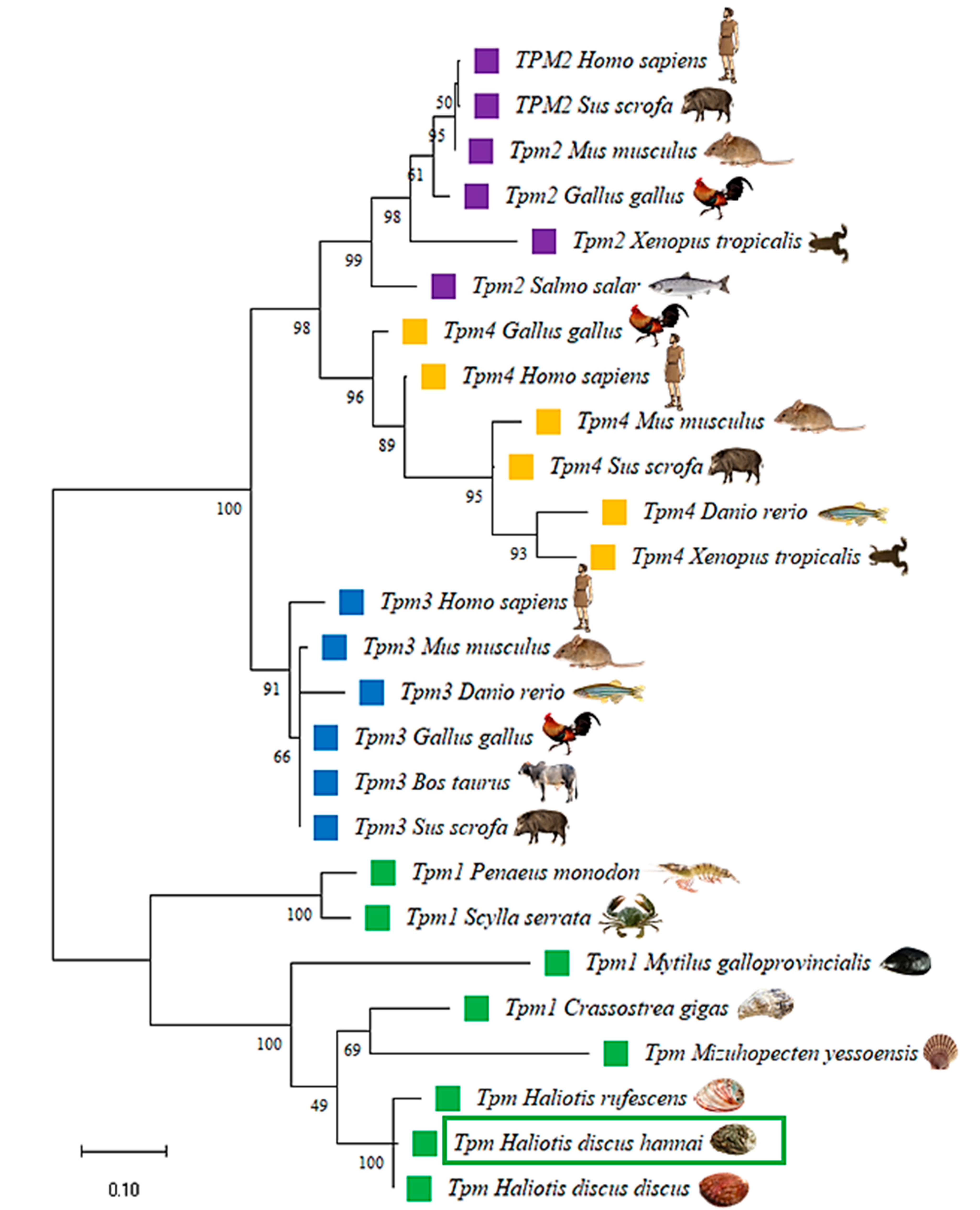 Genes 14 00002 g006 Genes 14 00002 g006