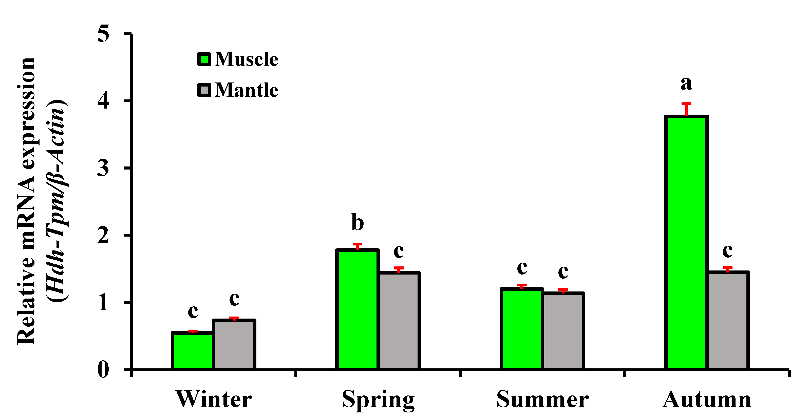 Genes 14 00002 g011 Genes 14 00002 g011