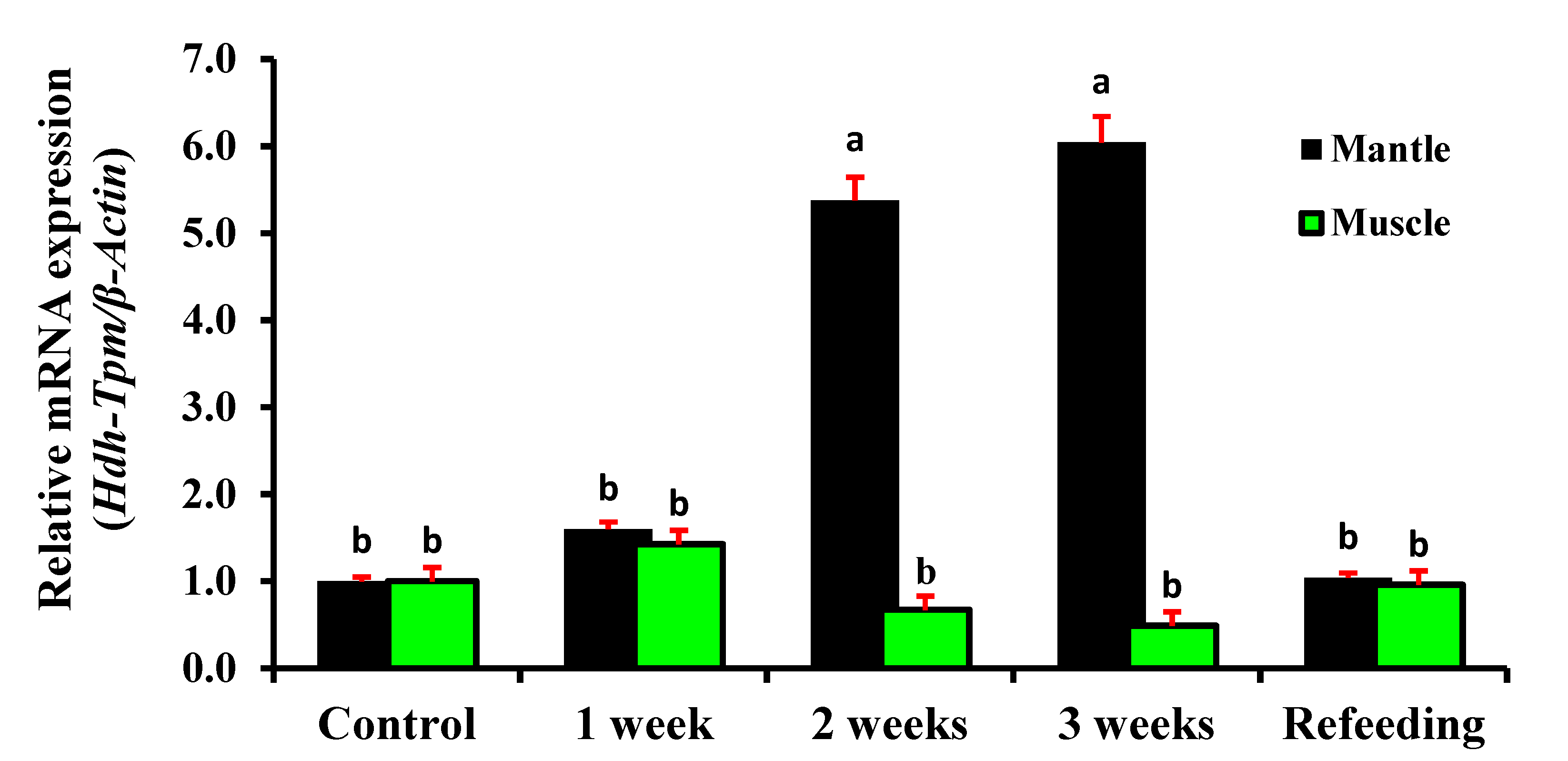 Genes 14 00002 g012 Genes 14 00002 g012