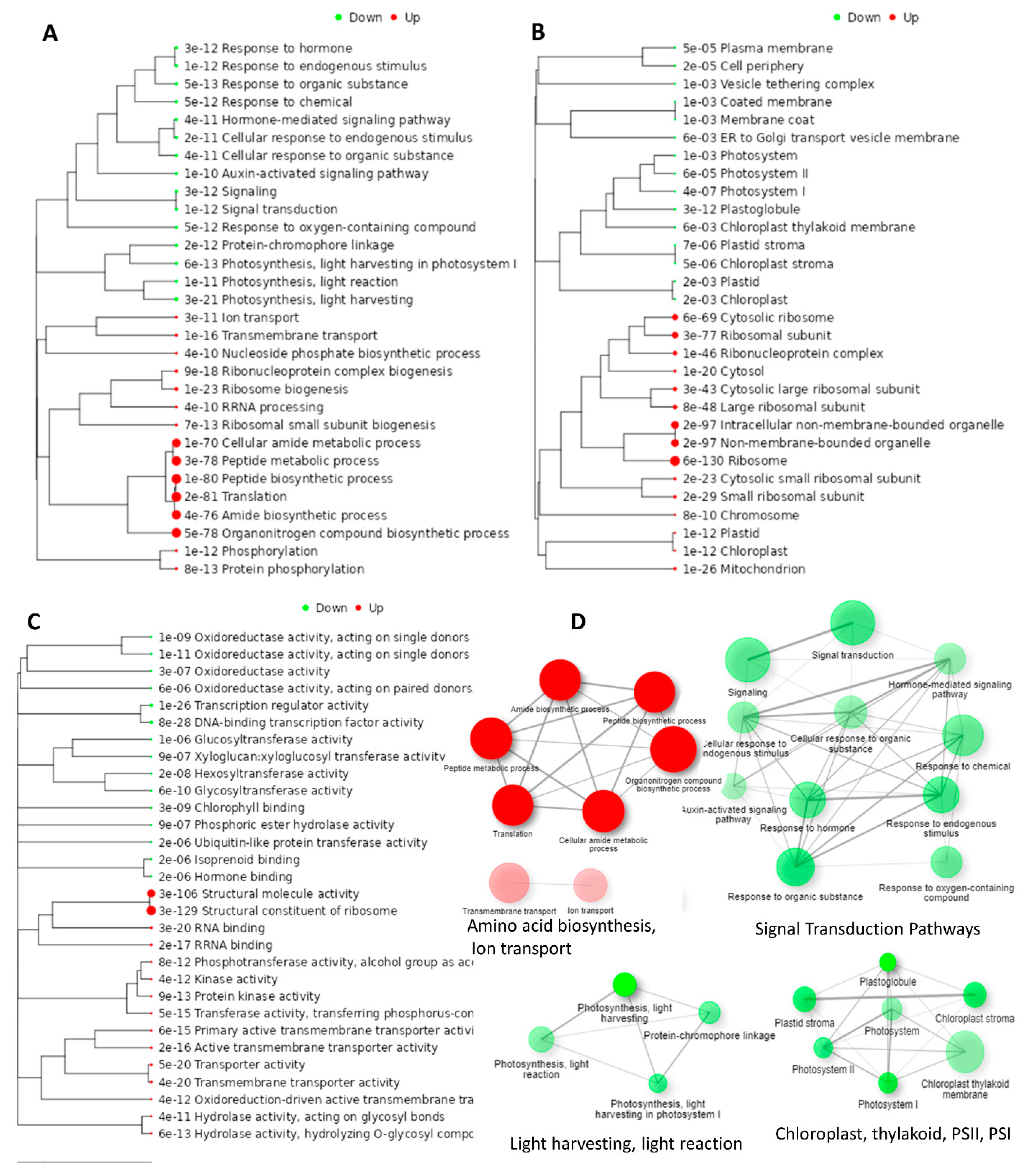 Genes 14 00003 g005 Genes 14 00003 g005