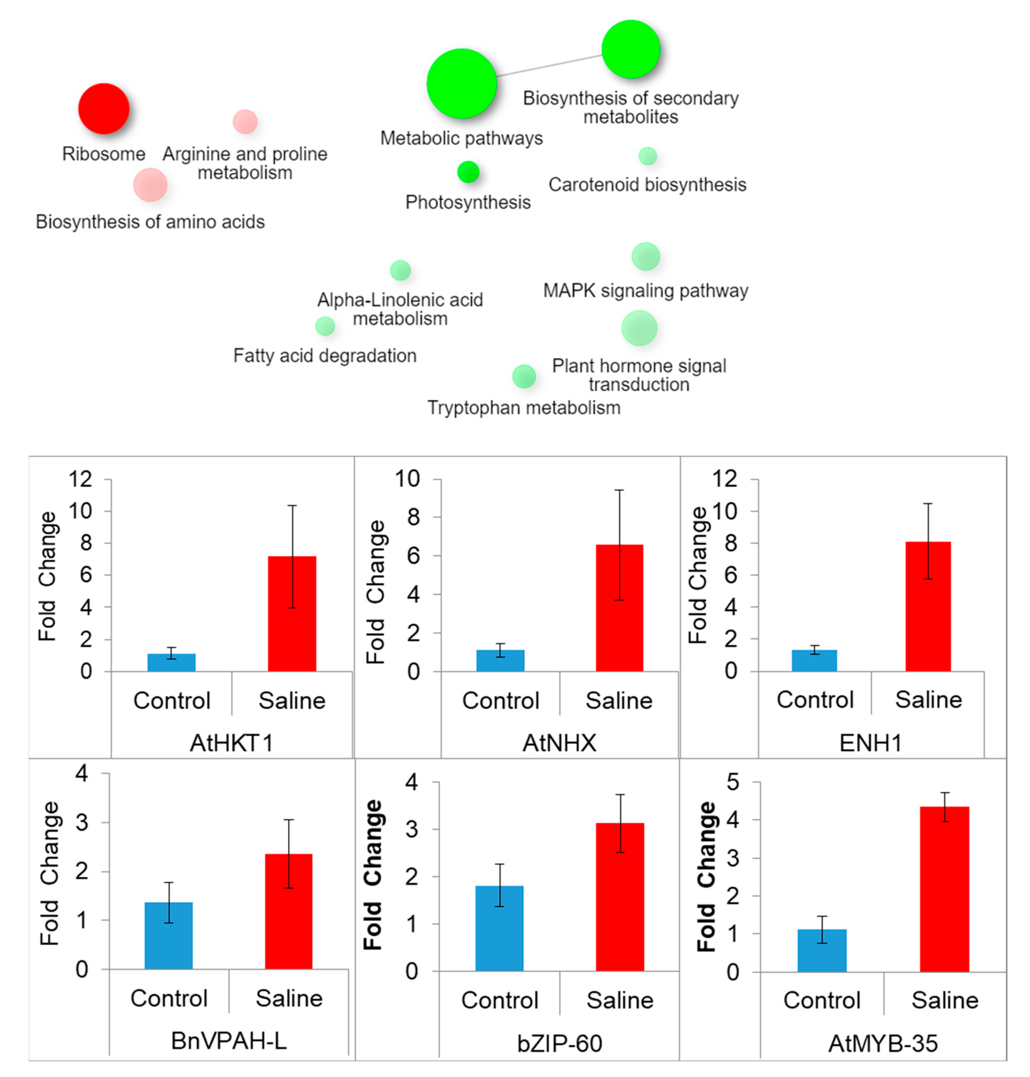 Genes 14 00003 g006 Genes 14 00003 g006