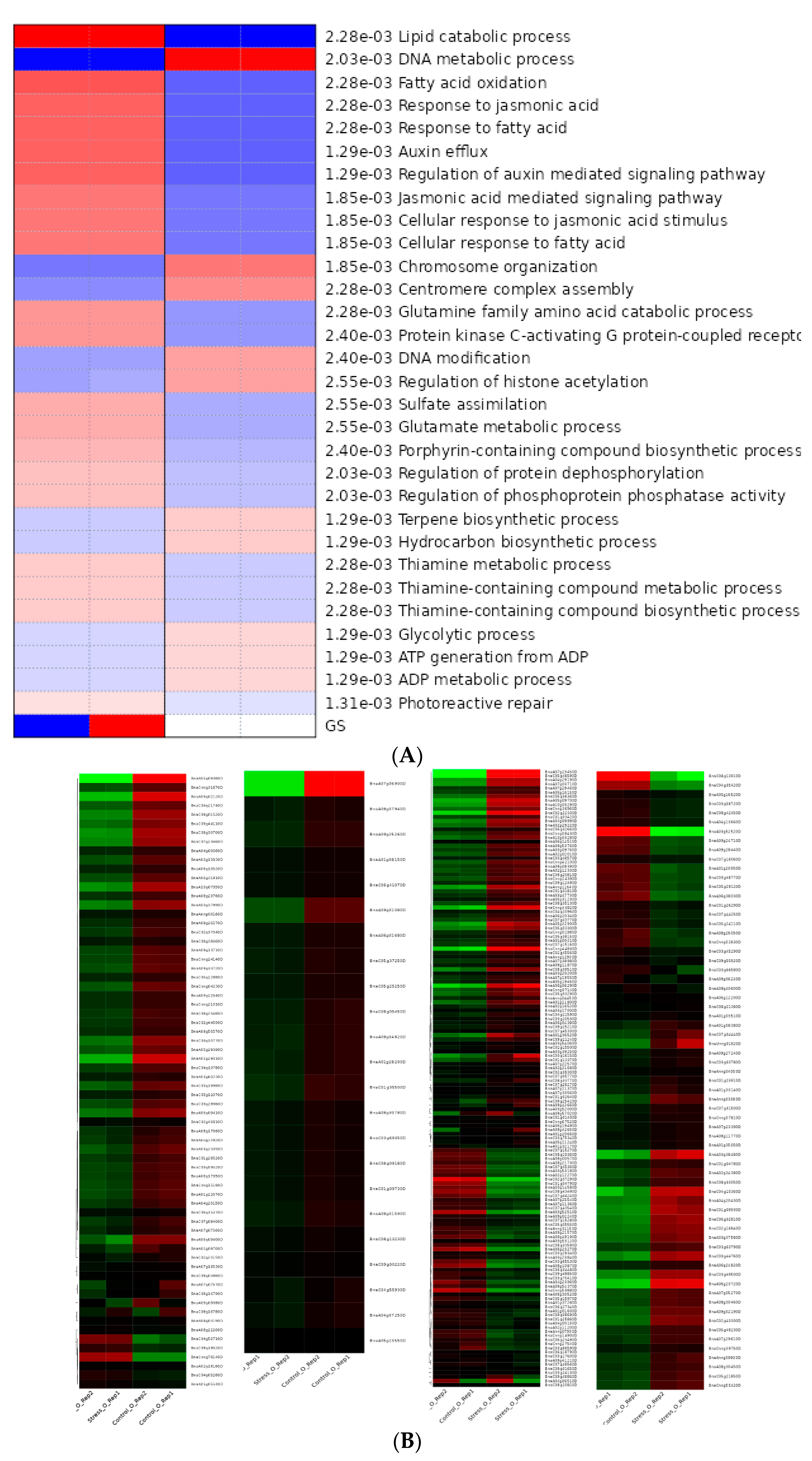 Genes 14 00003 g007 Genes 14 00003 g007