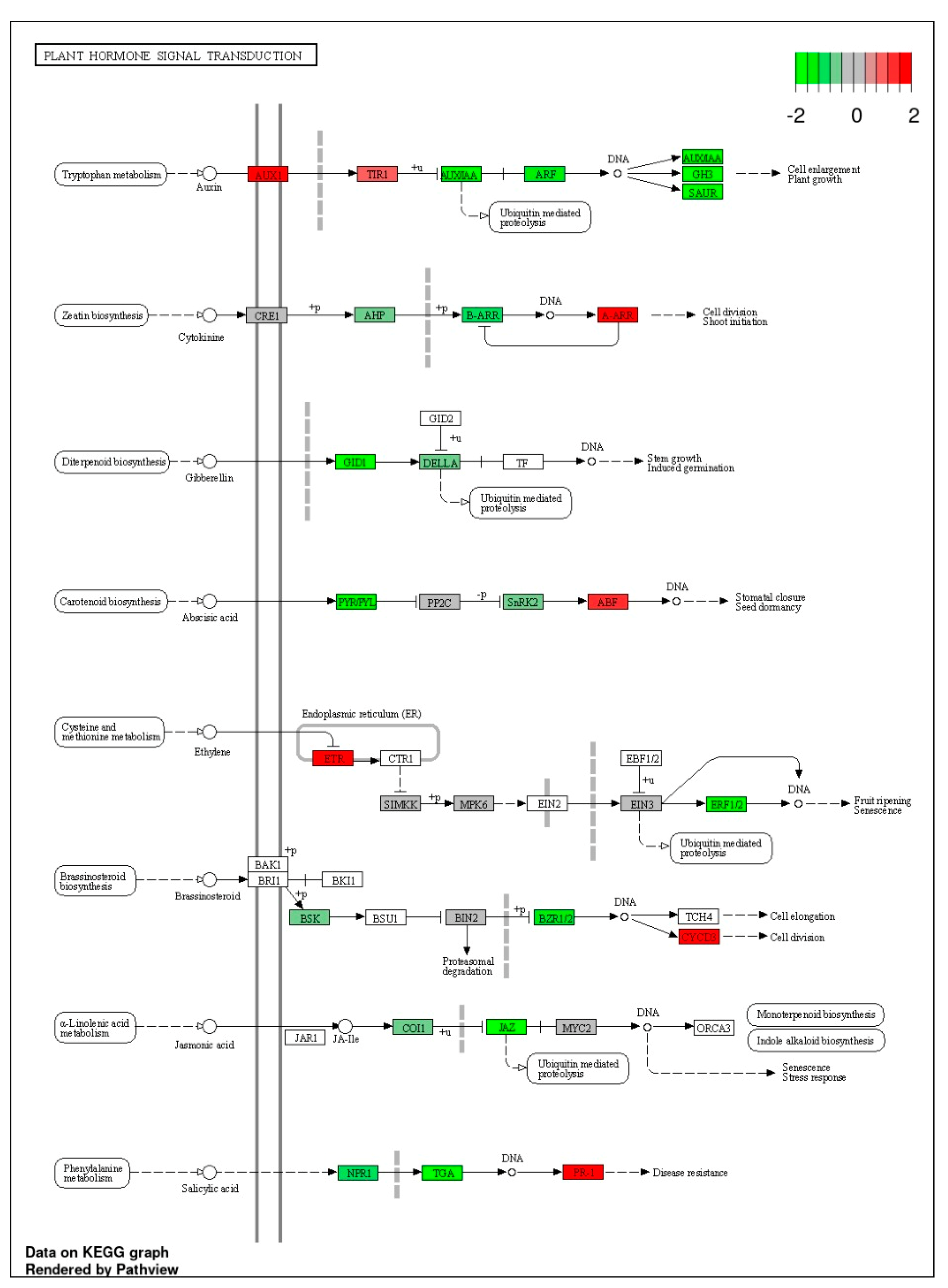 Genes 14 00003 g008 Genes 14 00003 g008