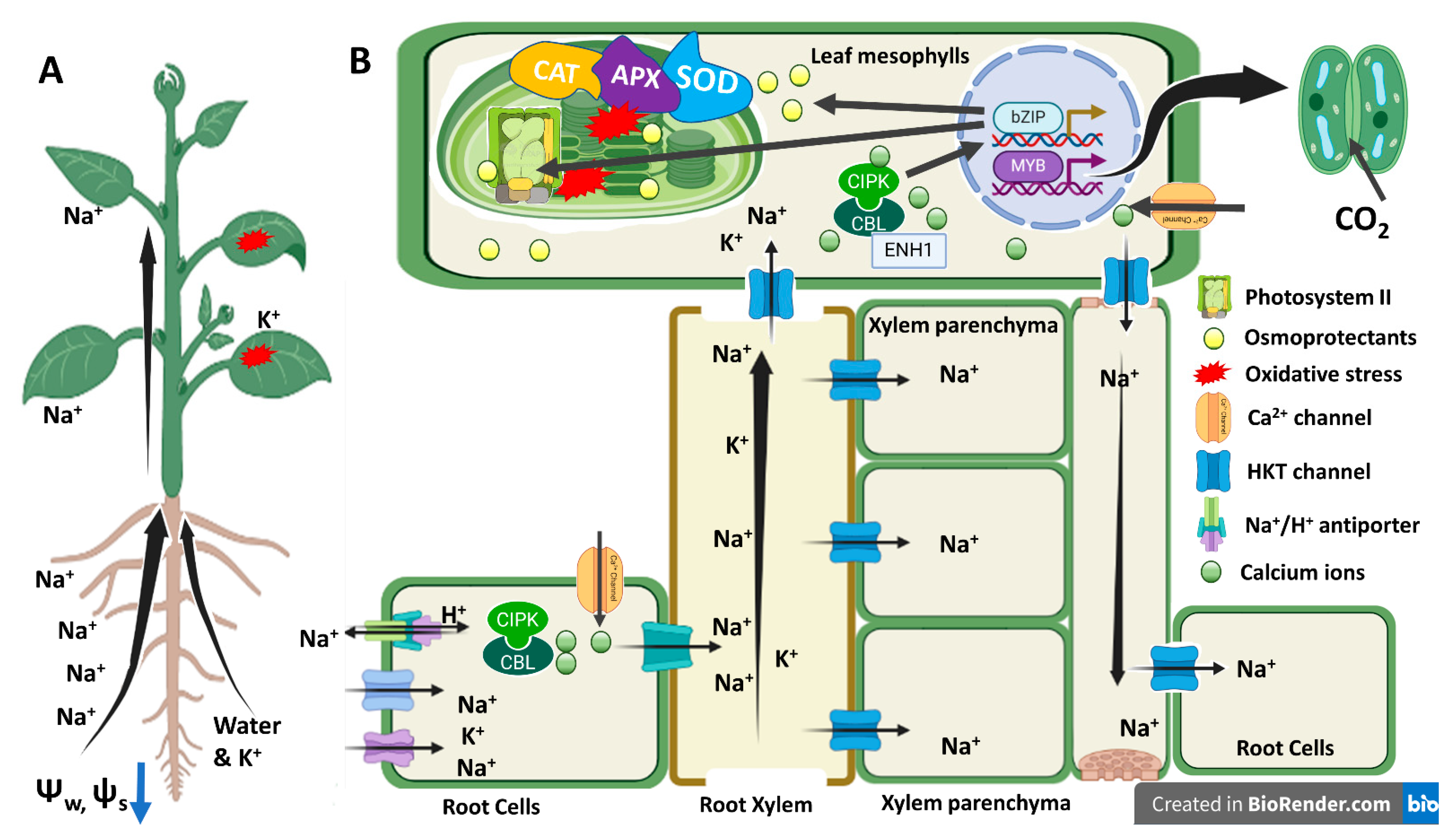 Genes 14 00003 g009 Genes 14 00003 g009