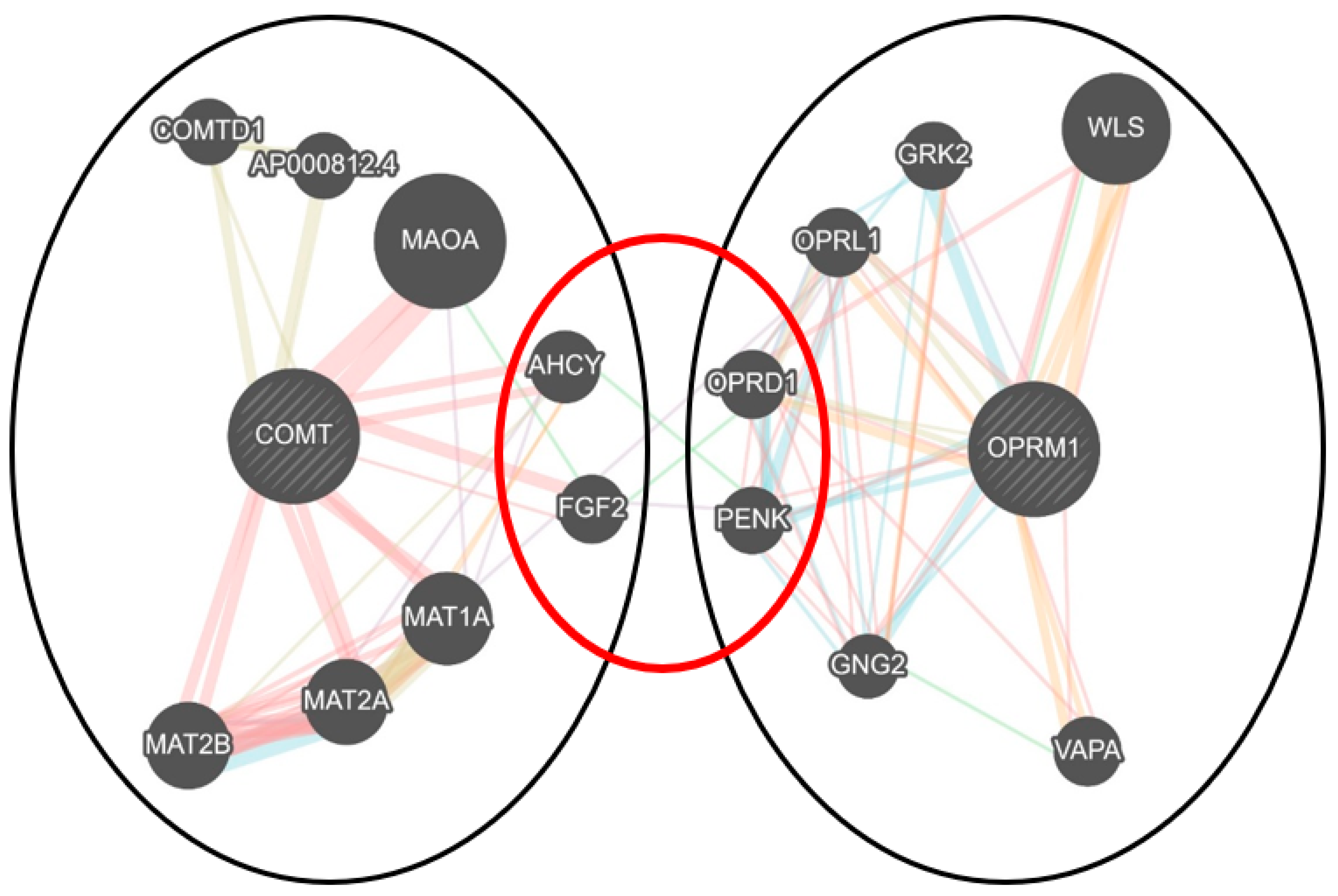 Genes 14 00009 g005 Genes 14 00009 g005