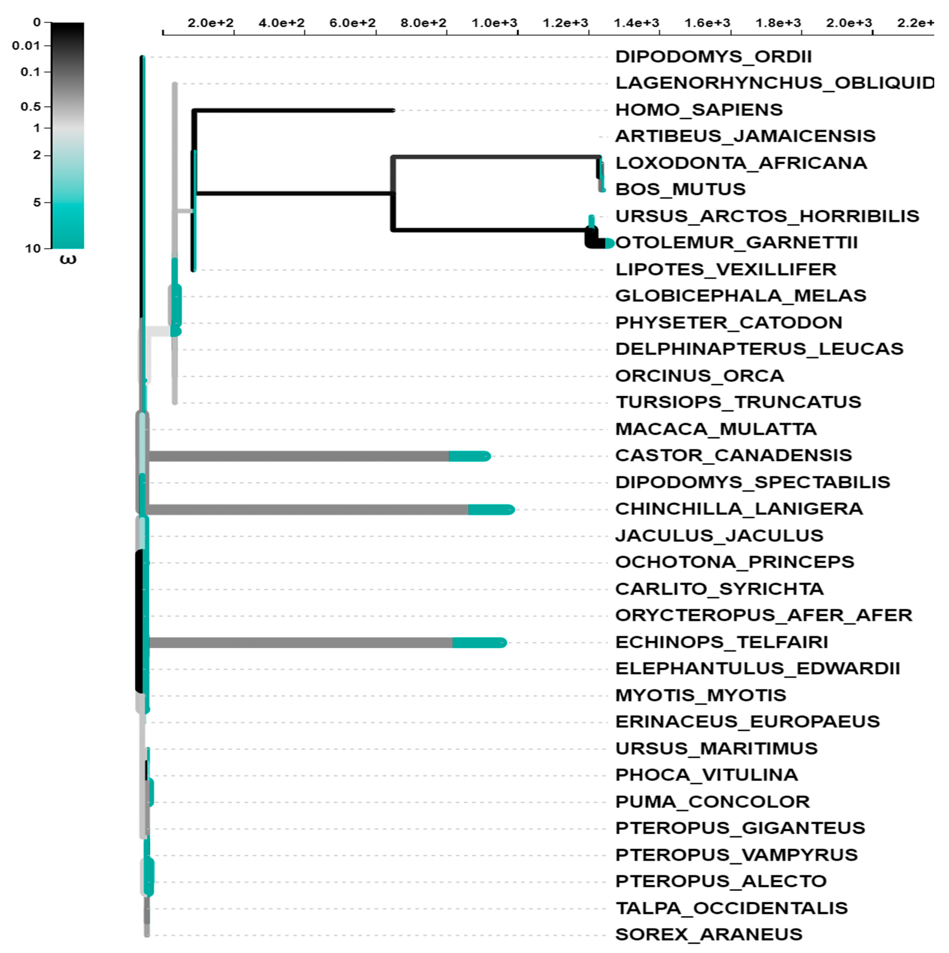 Genes 14 00015 g003 Genes 14 00015 g003