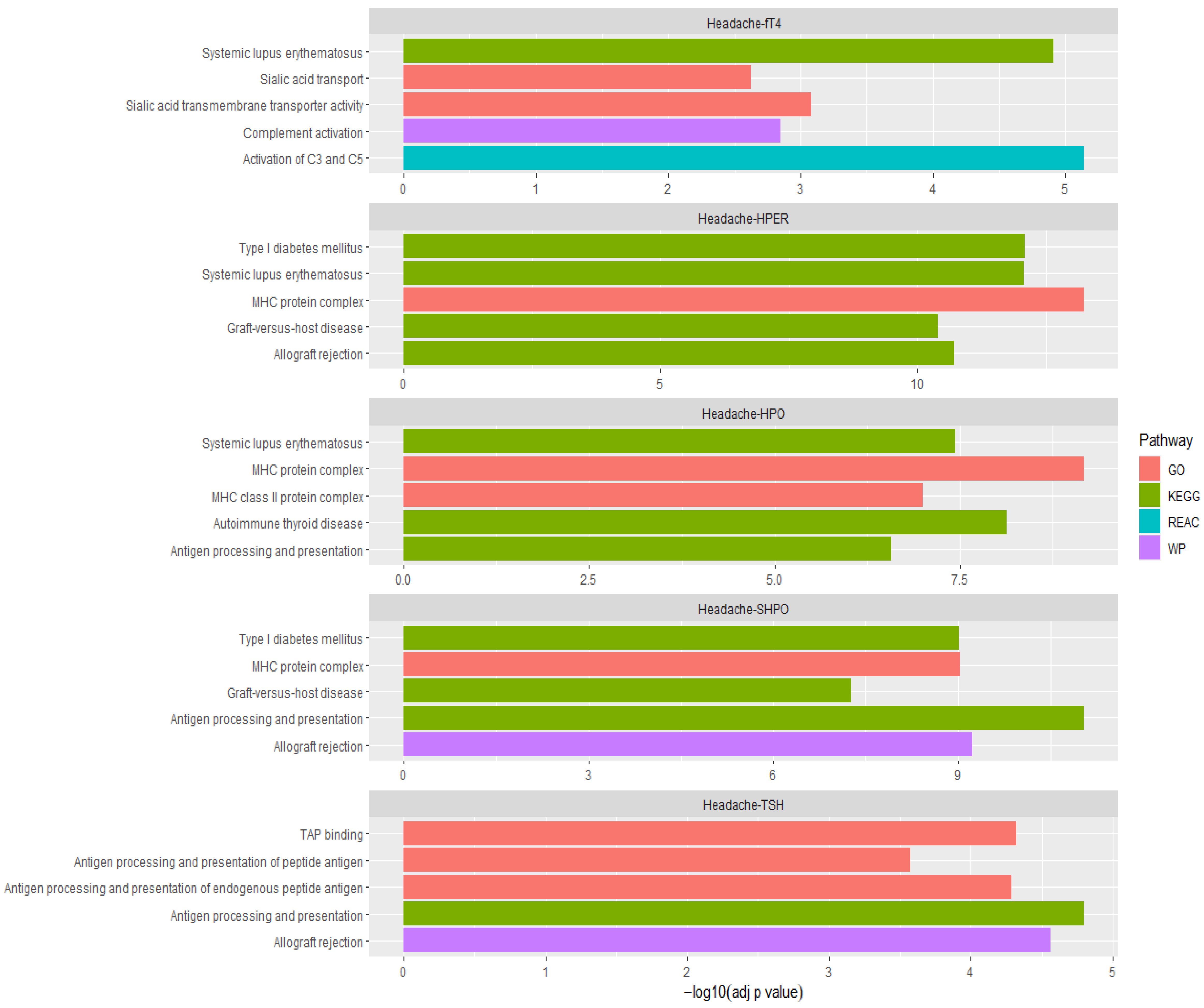 Cross-Trait Genetic Analyses Indicate Pleiotropy and Complex