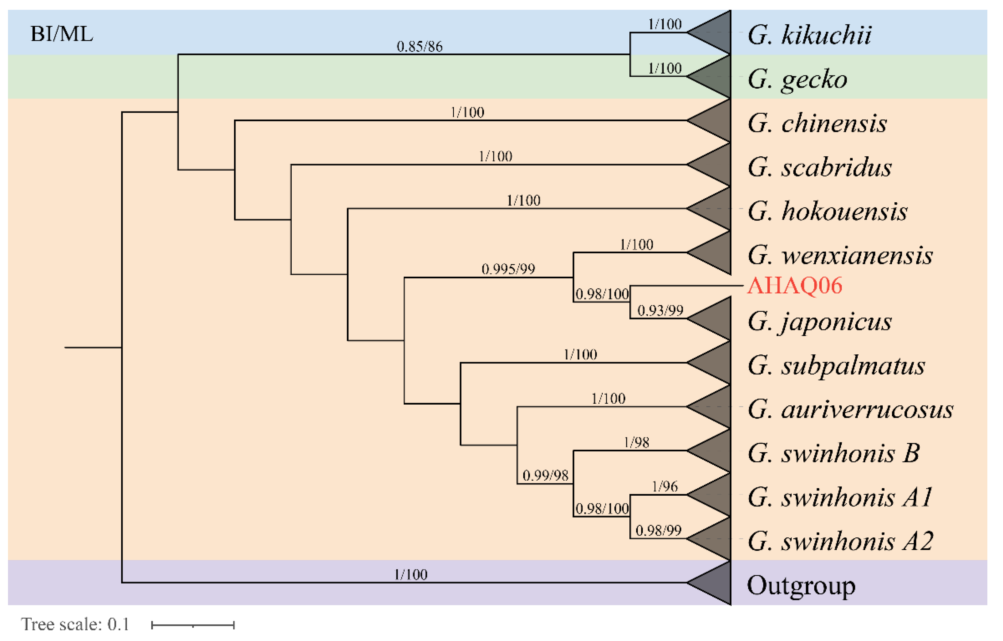 Genes 14 00018 g002