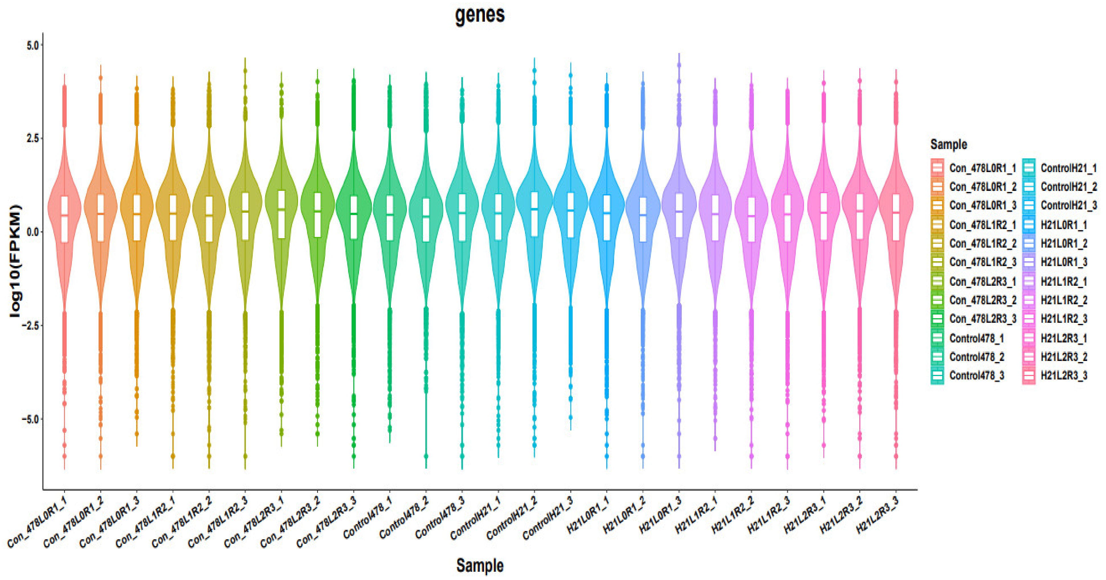 Genes 14 00031 g002