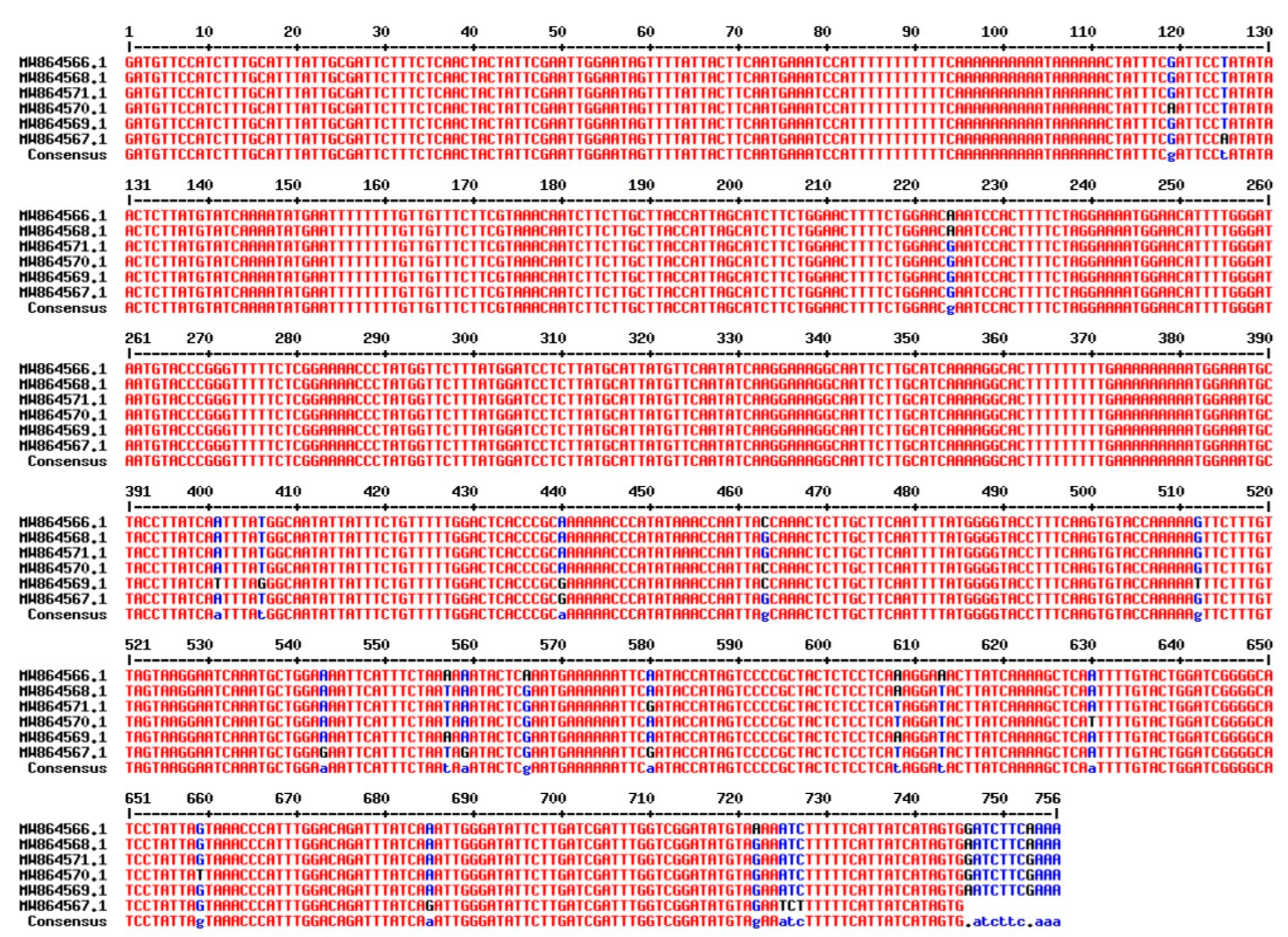 Genes 14 00034 g007 Genes 14 00034 g007