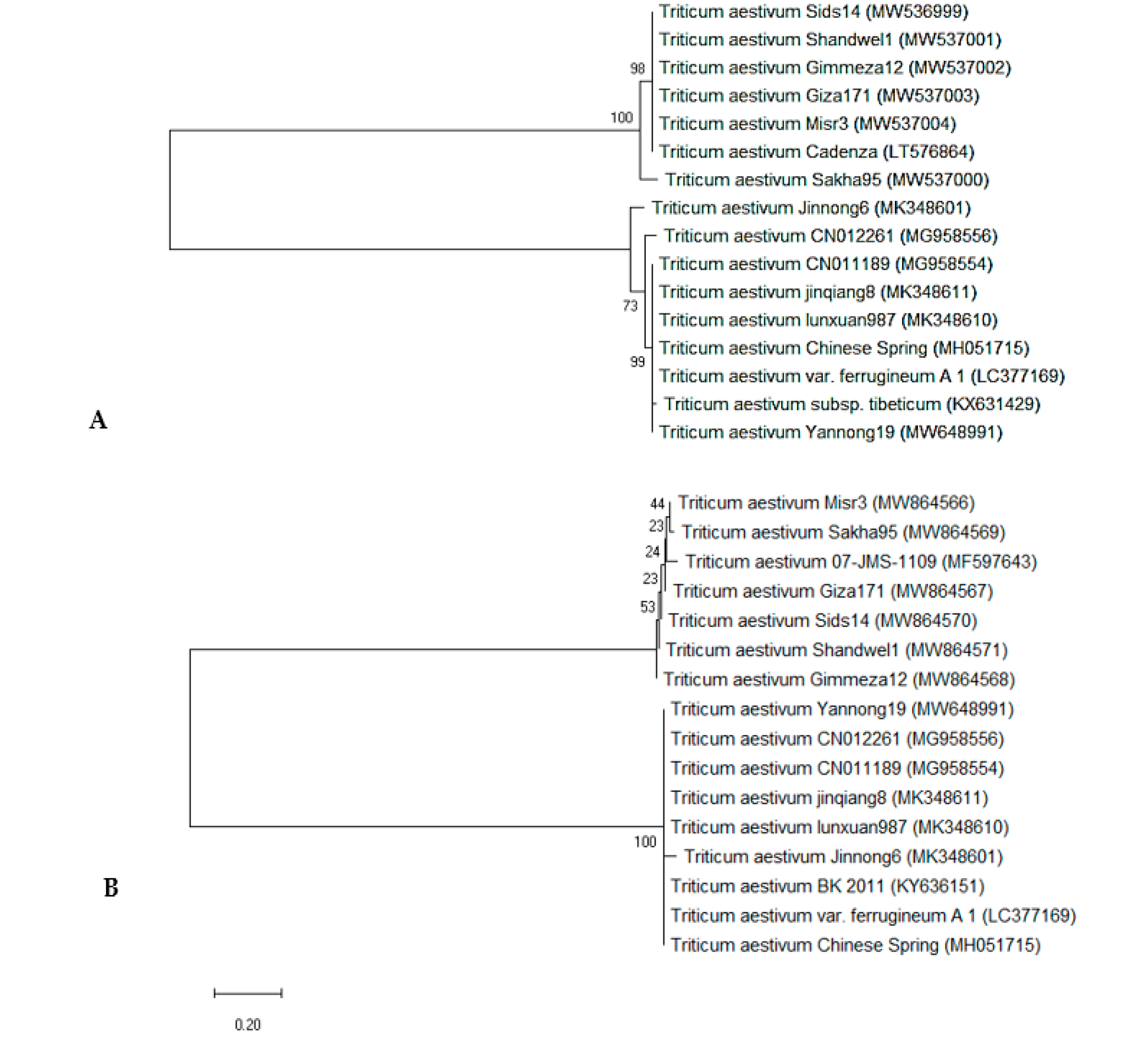 Genes 14 00034 g008 Genes 14 00034 g008