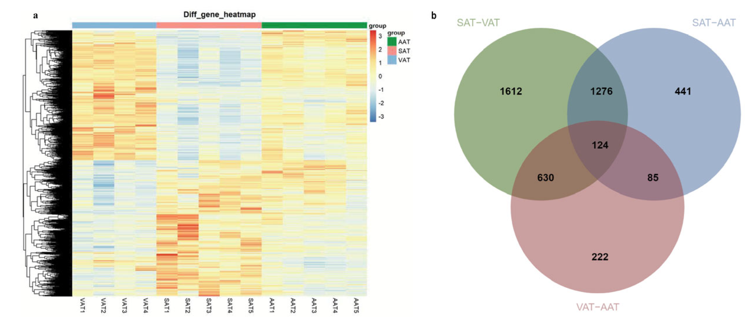 Genes 14 00037 g003