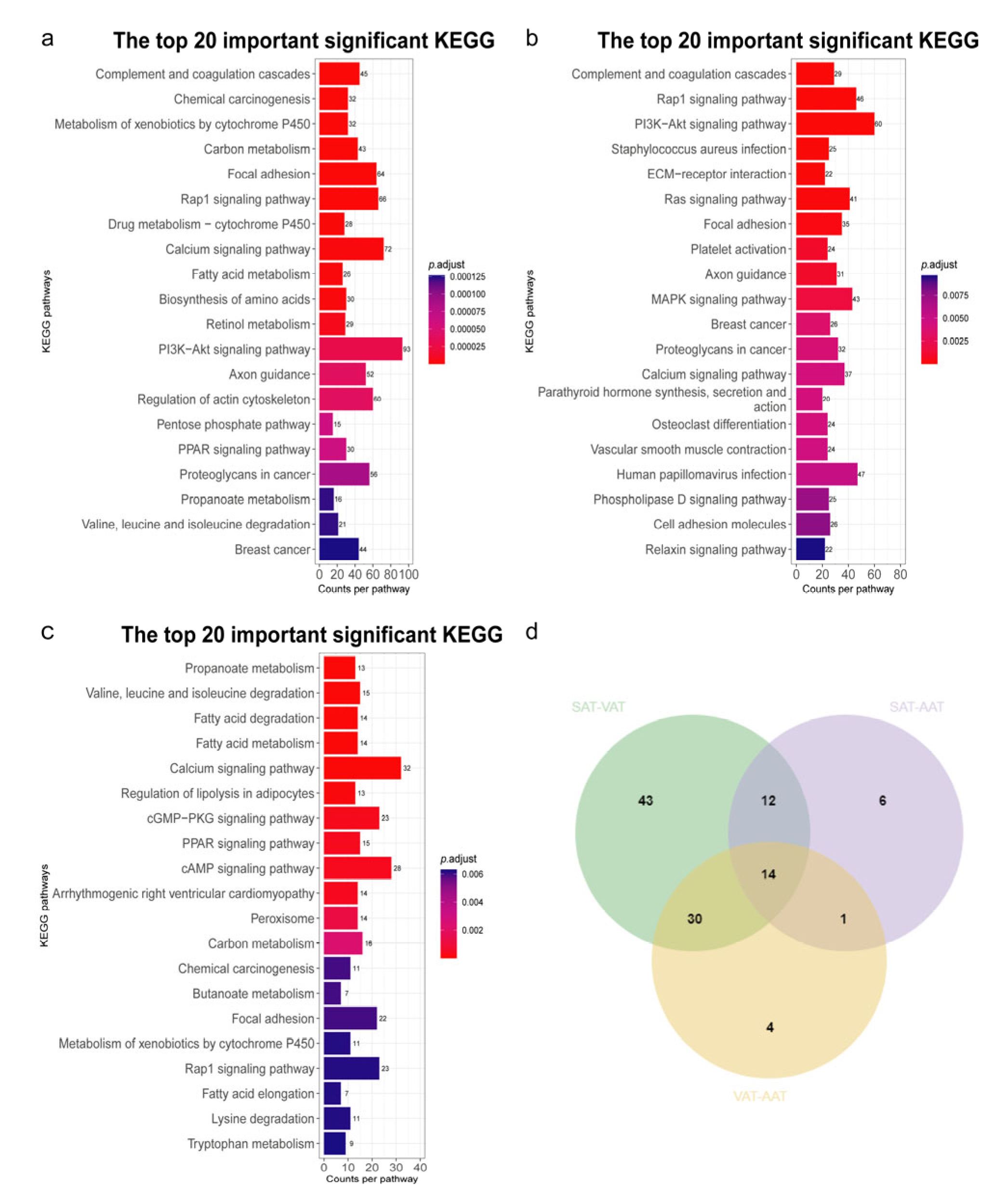 Genes 14 00037 g004