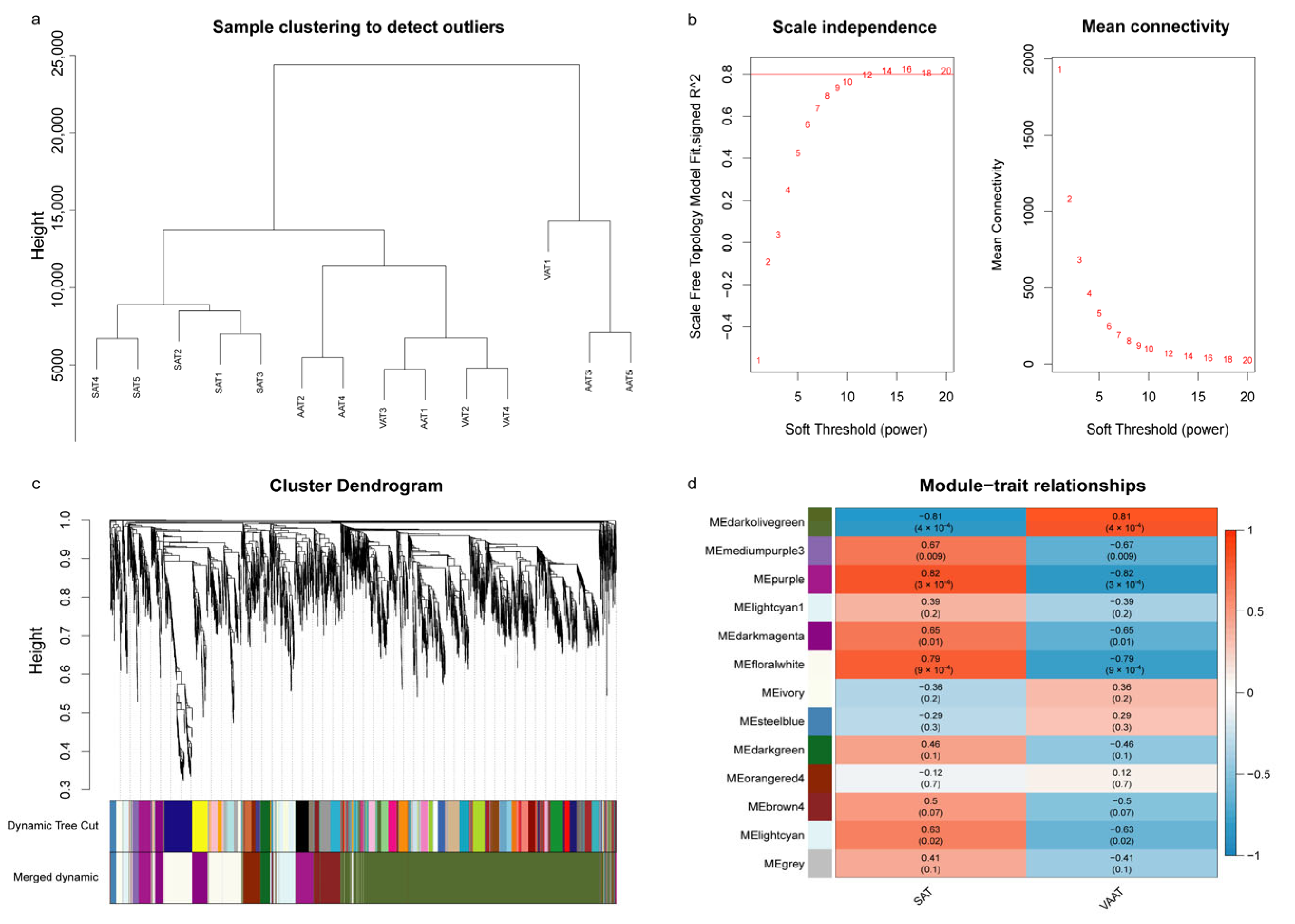 Genes 14 00037 g005
