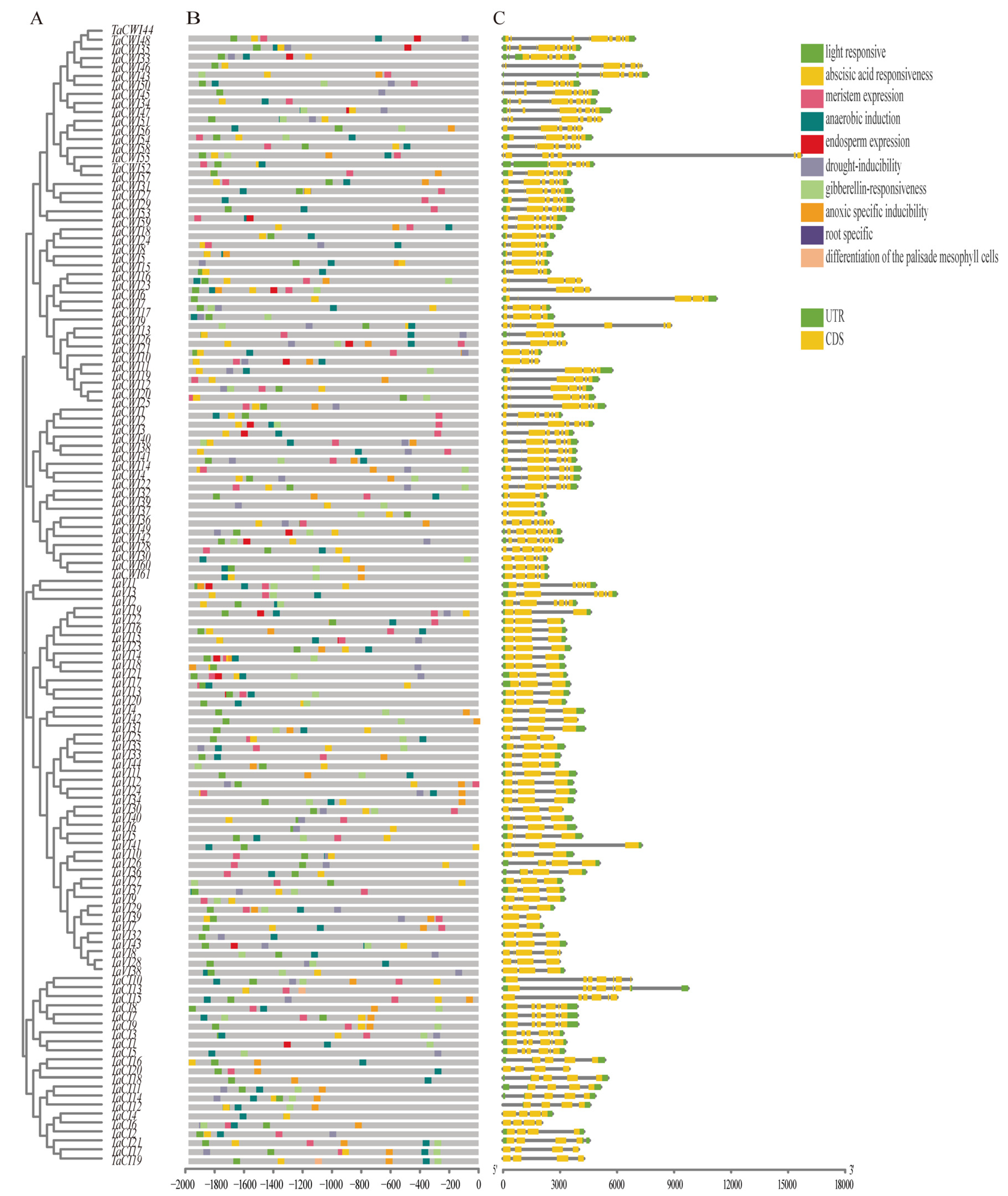 Genes 14 00041 g004 Genes 14 00041 g004