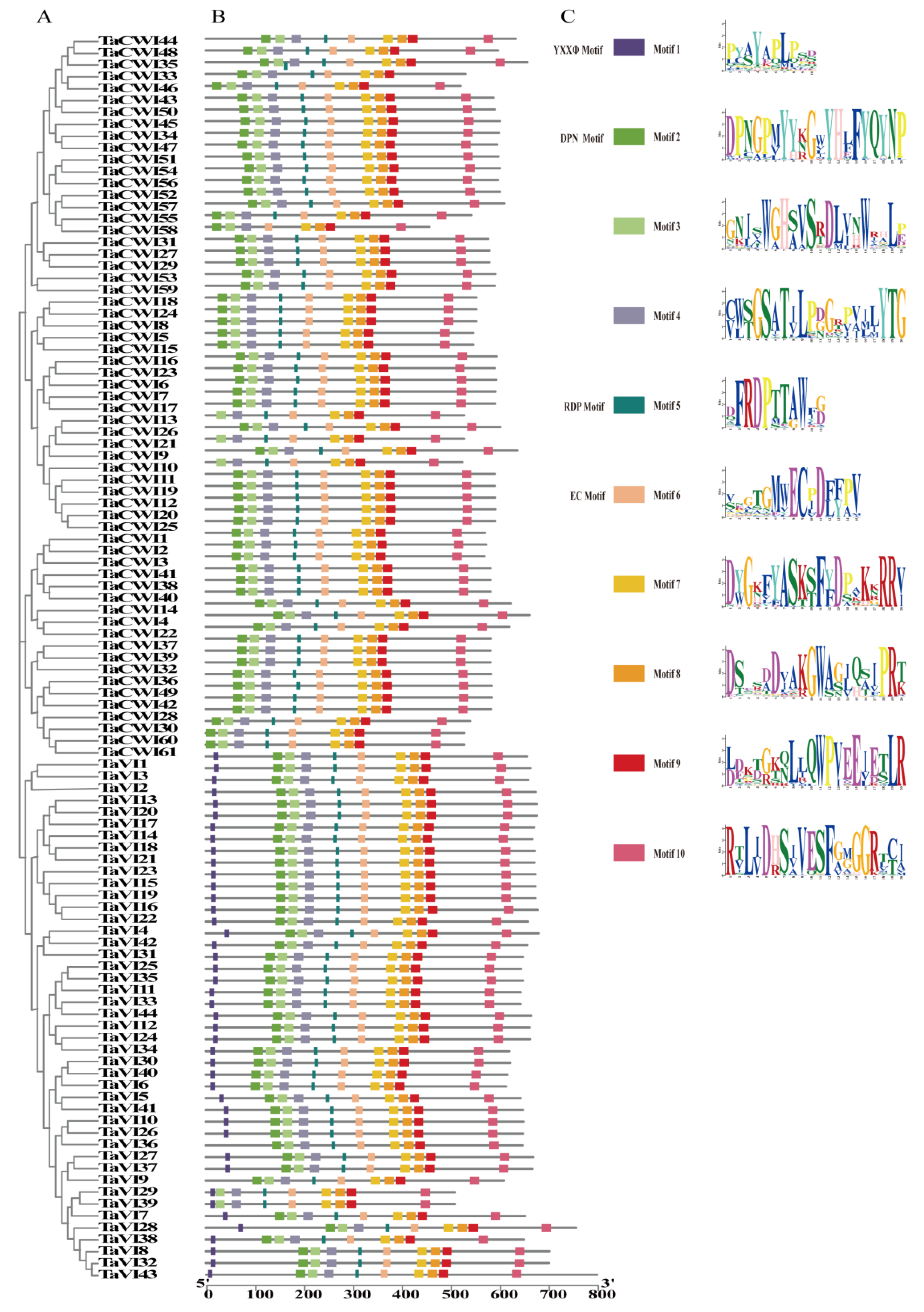 Genes 14 00041 g005 Genes 14 00041 g005