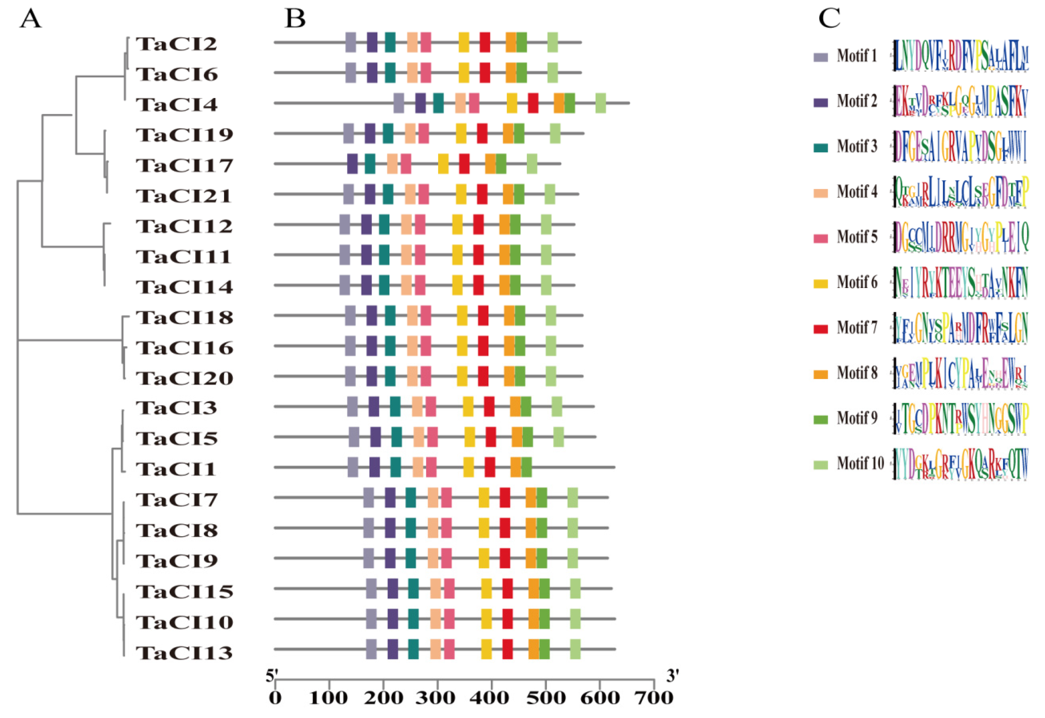 Genes 14 00041 g006 Genes 14 00041 g006