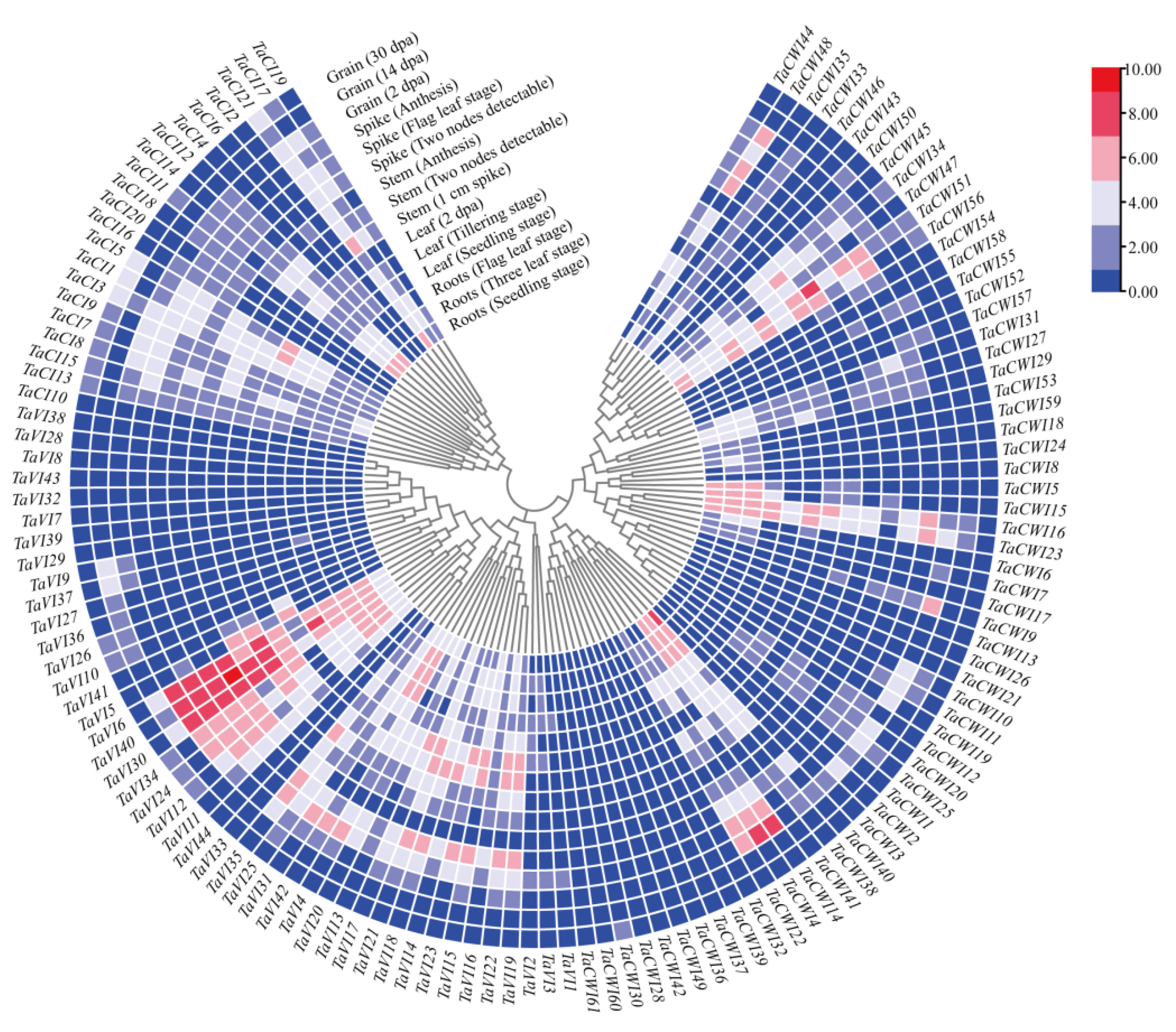 Genes 14 00041 g007 Genes 14 00041 g007