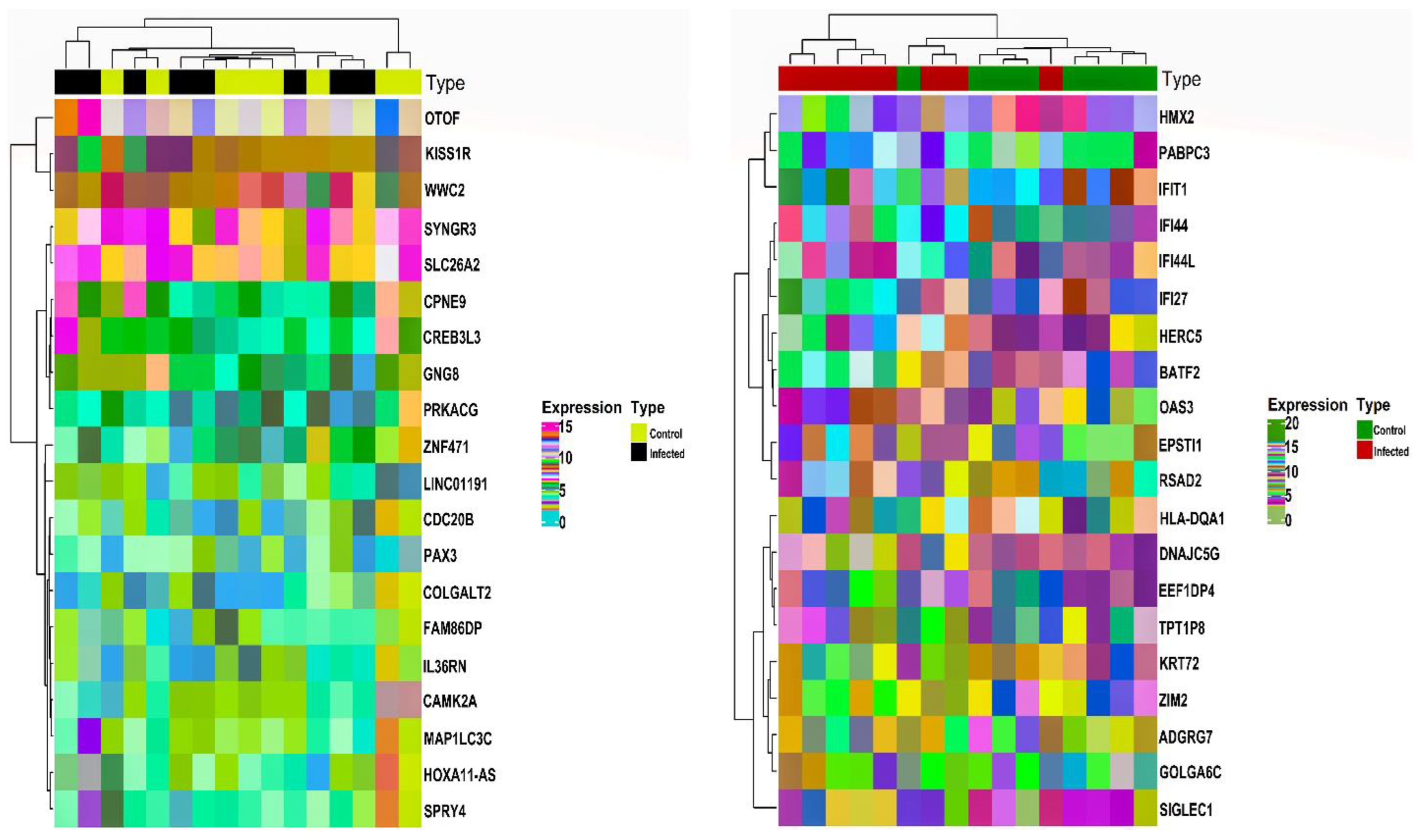 Genes 14 00042 g001 Genes 14 00042 g001