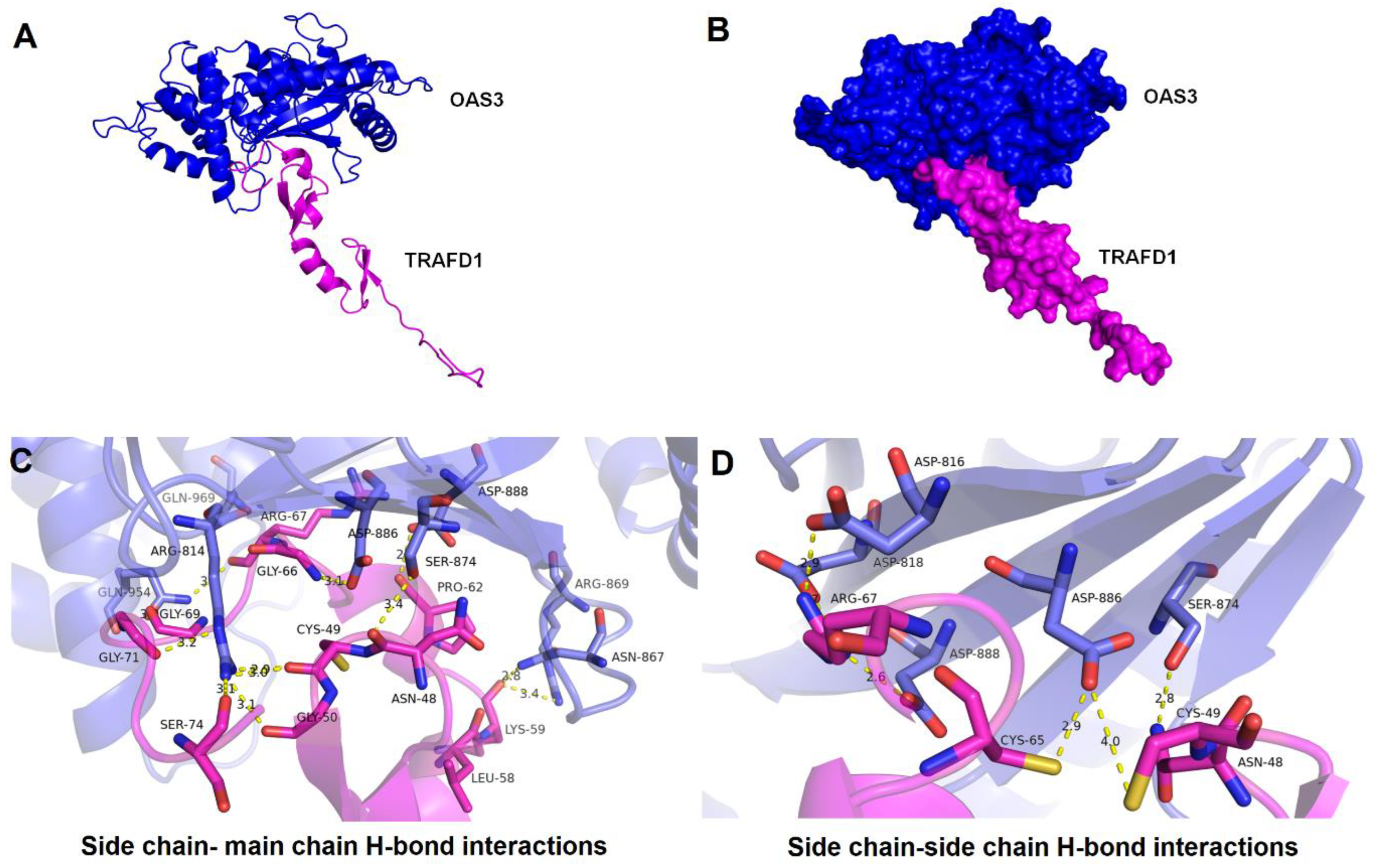 Genes 14 00042 g006 Genes 14 00042 g006