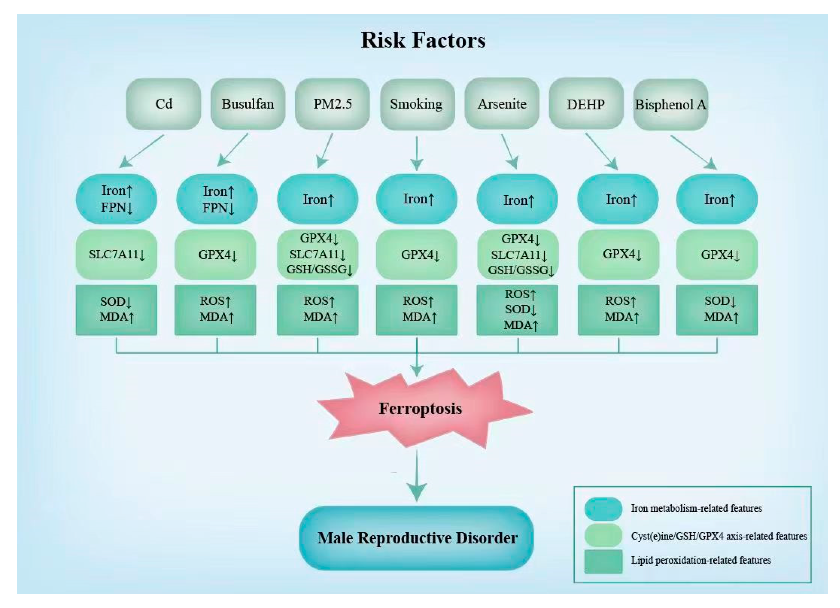 Genes 14 00043 g003 Genes 14 00043 g003