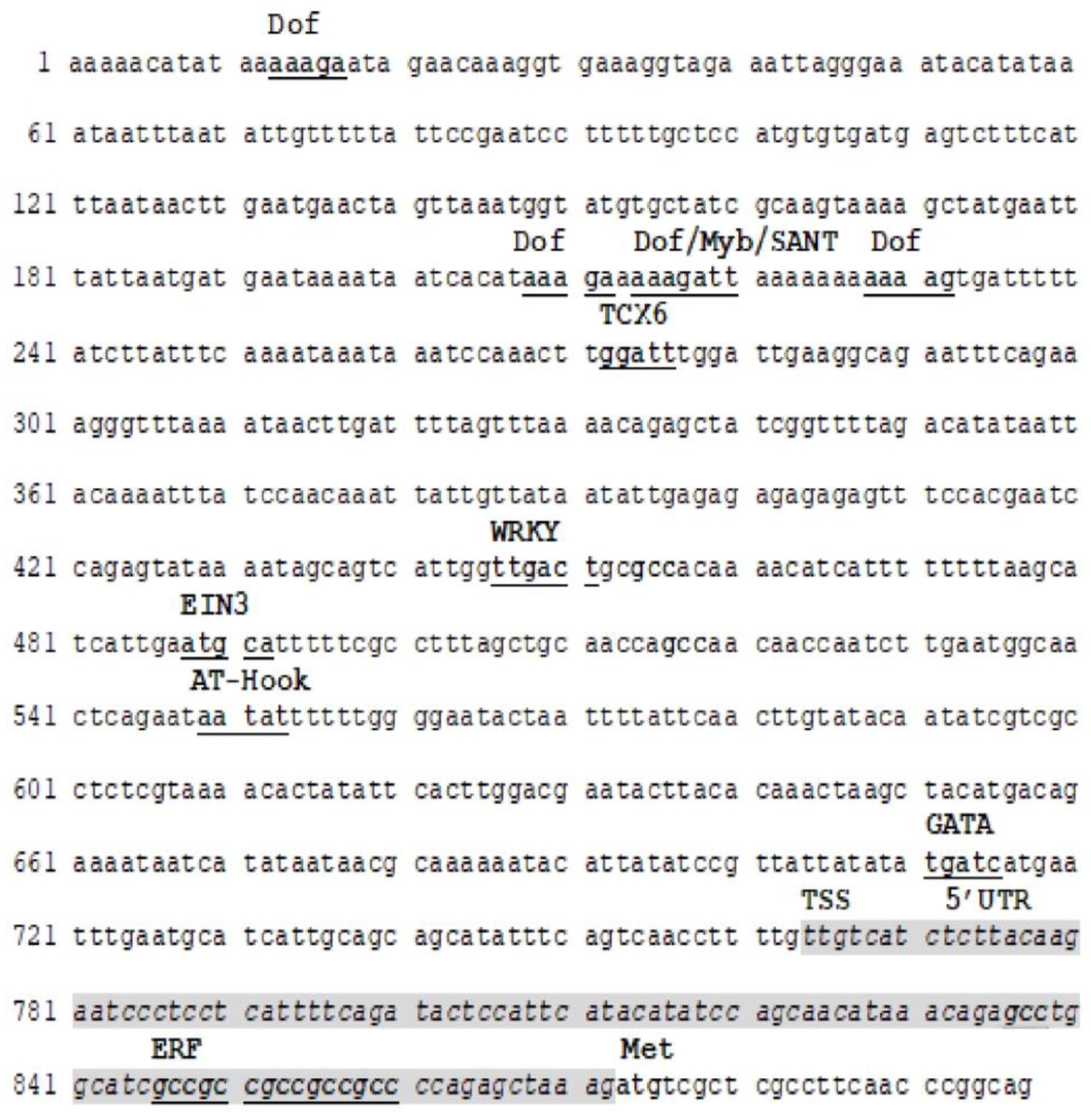 Genes 14 00054 g001 Genes 14 00054 g001