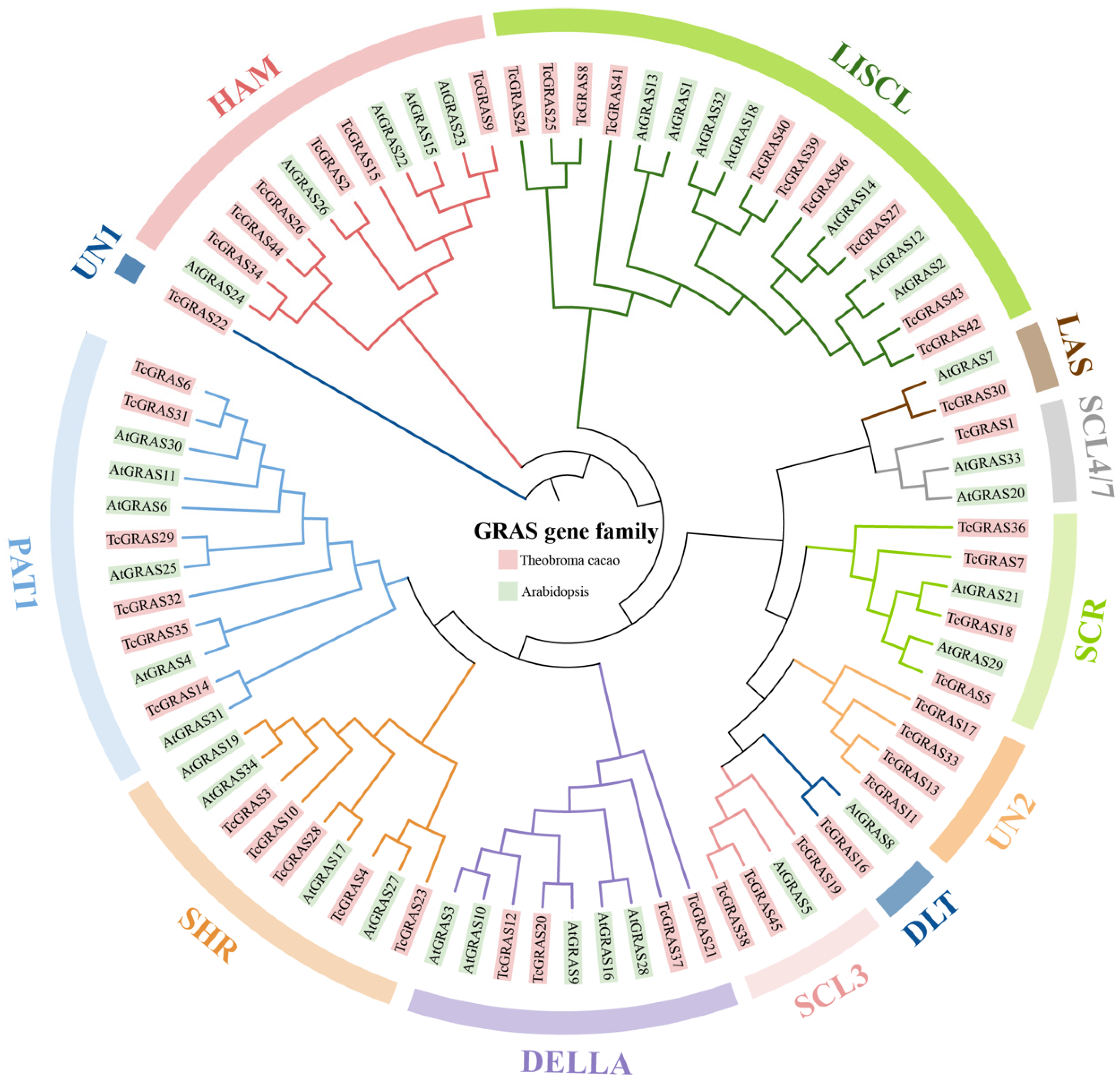 Genes 14 00057 g001 Genes 14 00057 g001