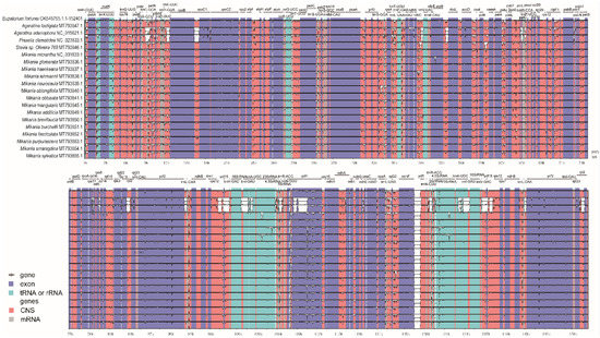 The Complete Chloroplast Genome Sequence of Eupatorium