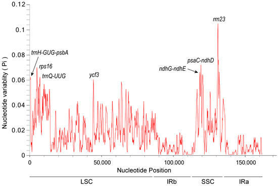 The Complete Chloroplast Genome Sequence of Eupatorium